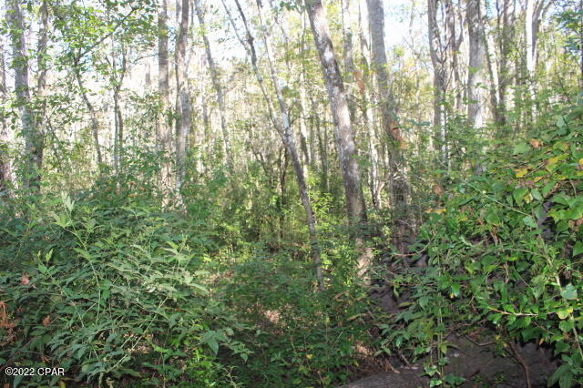 No Named Subdivision - Land