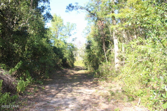 No Named Subdivision - Land