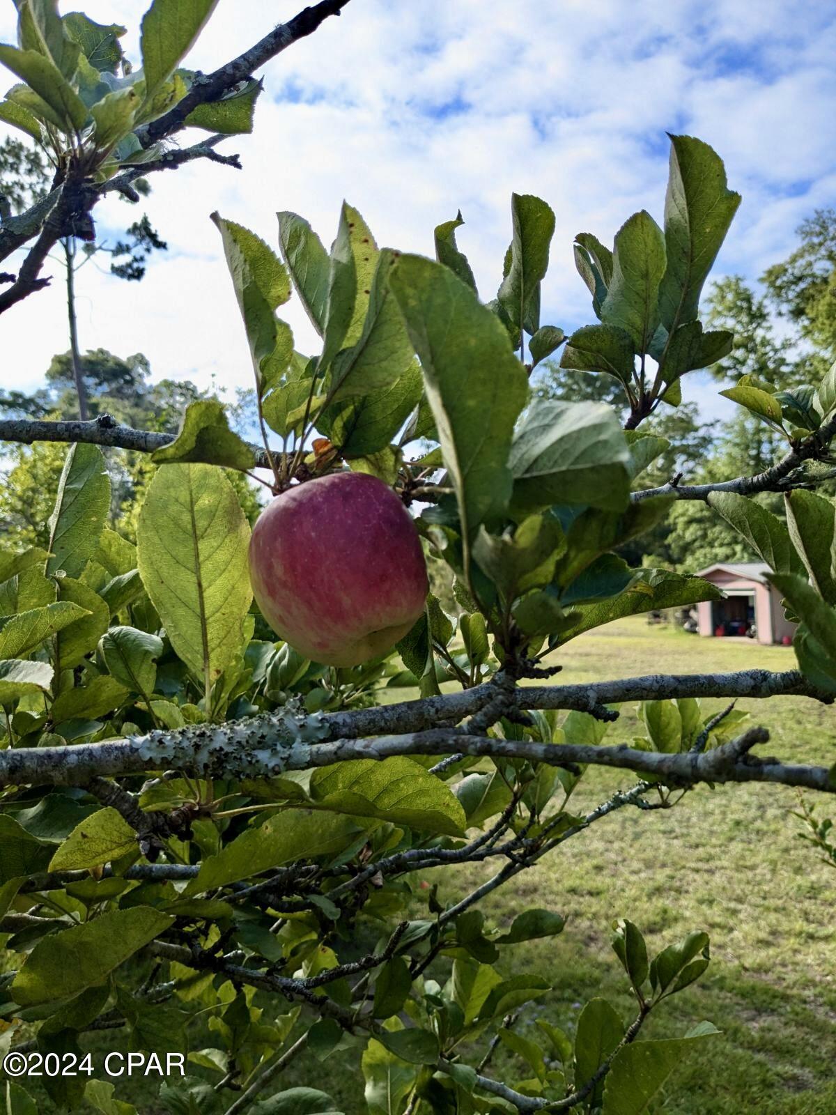 Dogwood Heights - Residential