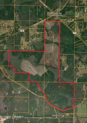 MATTOX SPRINGS RD, CARYVILLE, FL 32427 - Image b20196ba8cb5fd014b5d524924c5ace0/16961874