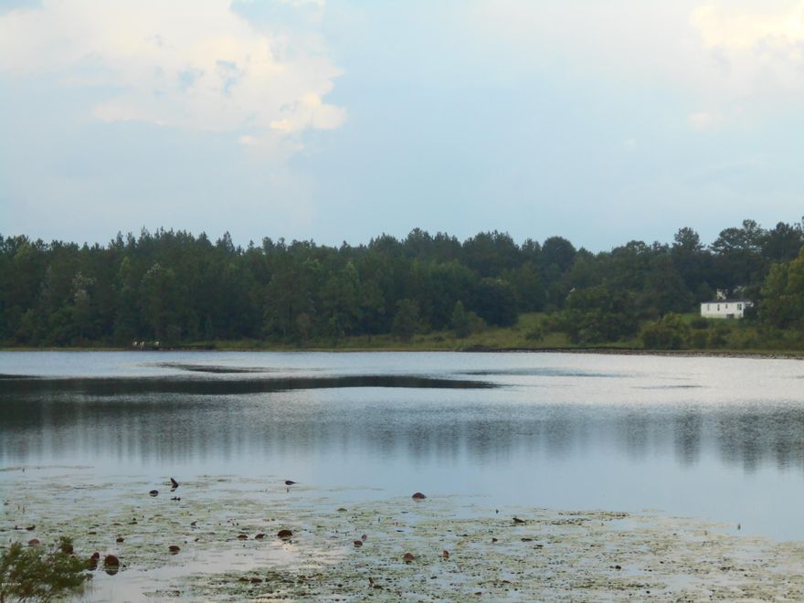 Very motivated sellers on this LAKEFRONT lot. Welcome to the Highlands of Compass Lake. This great lot has approx. 85' on beautiful Lake Highland.  Property was bush hogged in 2023 and new survey completed. Seller also has adjacent lot available for sale as well (see MLS 695808). A third adjacent lot is also available by different owner (see MLS 775338) . Purchase 1, 2, or 3 lots together for a super getaway.  Let's make a deal!! Situated just inside Jackson County, Lake Highland is over 60 acres and offers pristine spring fed enjoyment. No gas-powered craft are allowed, but electric motors are welcome. For the angler, there is a variety of fish to be had. You are also less than a mile to the public boat ramp of the 600 acre Compass Lake, where fishing and skiing are everyday activities. Come see today, and bring your fishing pole. Measurements are approximate.