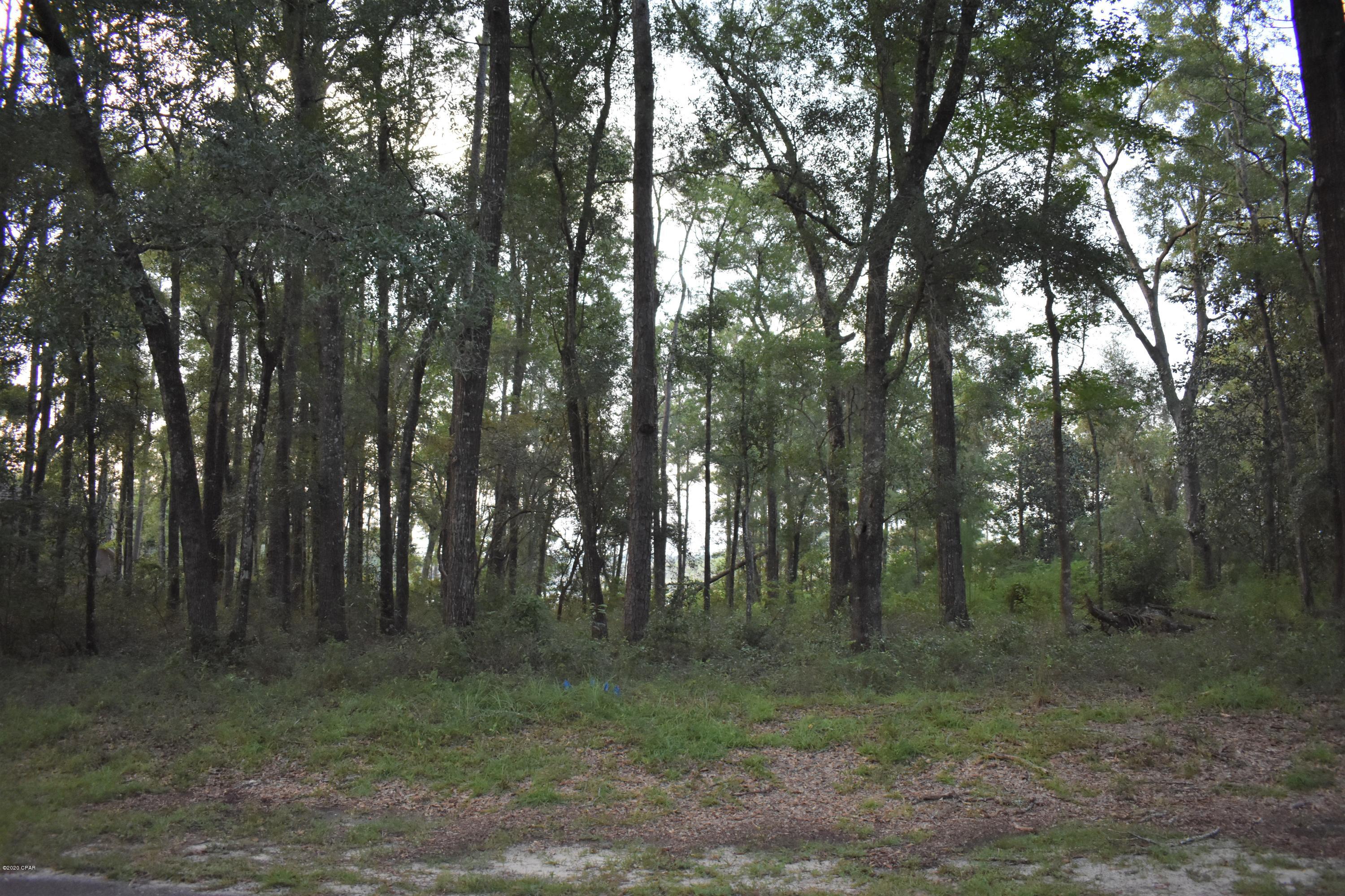 Paradise Lakes - Land