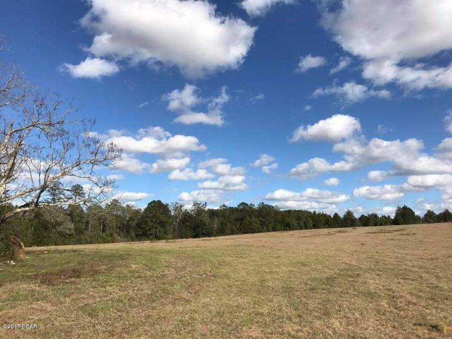 Beautiful 39+/- Acres 

South of Marianna at the intersection of McCormick and Maddox Rd. Large pecan trees, rolling hill pasture, great hunting. Beautiful place to build a house and/or have small cattle ranch. Call today for more information.
