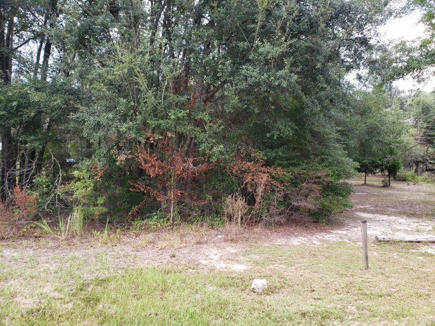 Lot 4-Paved road frontage with this 1.19+/- acre lot just outside Bascom city limits. Great for your new site built or mobile home. Located near Marianna, FL, Dothan, AL and Donalson, GA.
