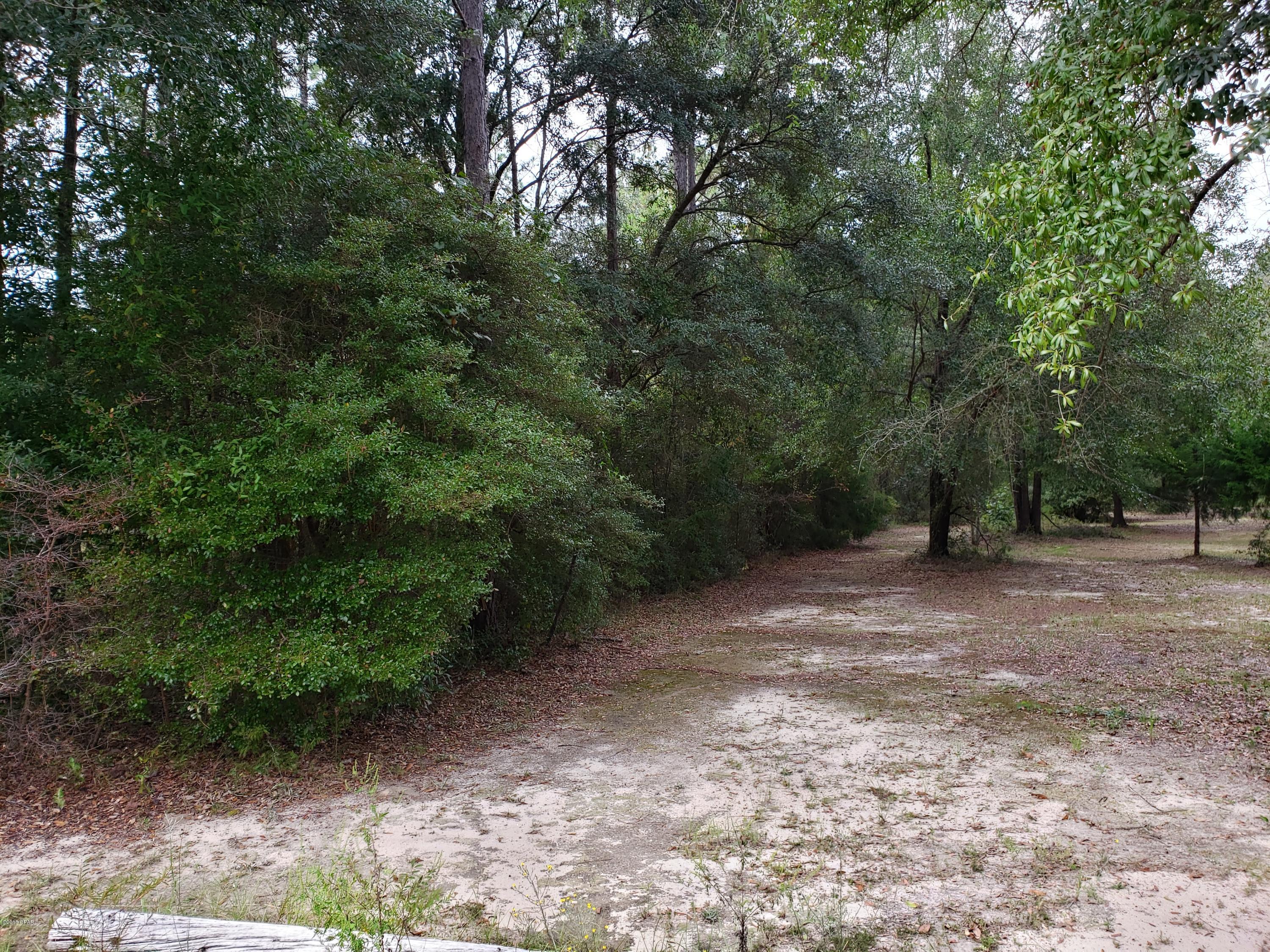 Whippoorwills - Land