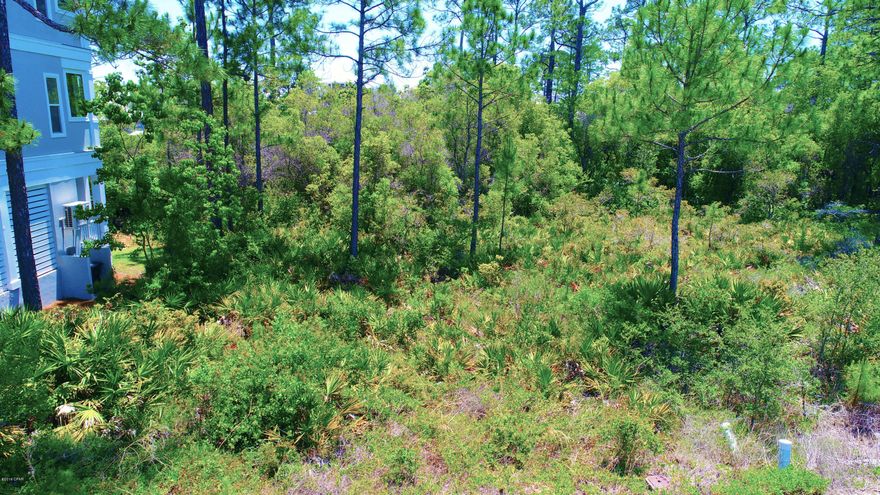 Treetop is a secluded gated community that adjoins Seacrest Beach with convenient access from renowned Scenic 30-A and Hwy 98. There are only 79 lots in this tranquil subdivision. This community offers a private community pool, cul-de-sac streets, easy access to Seacrest bike paths and a deeded beach access. Enjoy this quiet neighborhood in a natural setting with beautiful tall trees. Take a bike ride to the beach then stop by Shades, Big Bad Breakfast or Cowgirl Kitchen or any of the other quaint restaurants nearby for great dining. First class shopping and specialty boutiques are a short stroll away. There are currently 4 new homes under construction and 2 just completed. This community truly is the best kept secret on 30A!