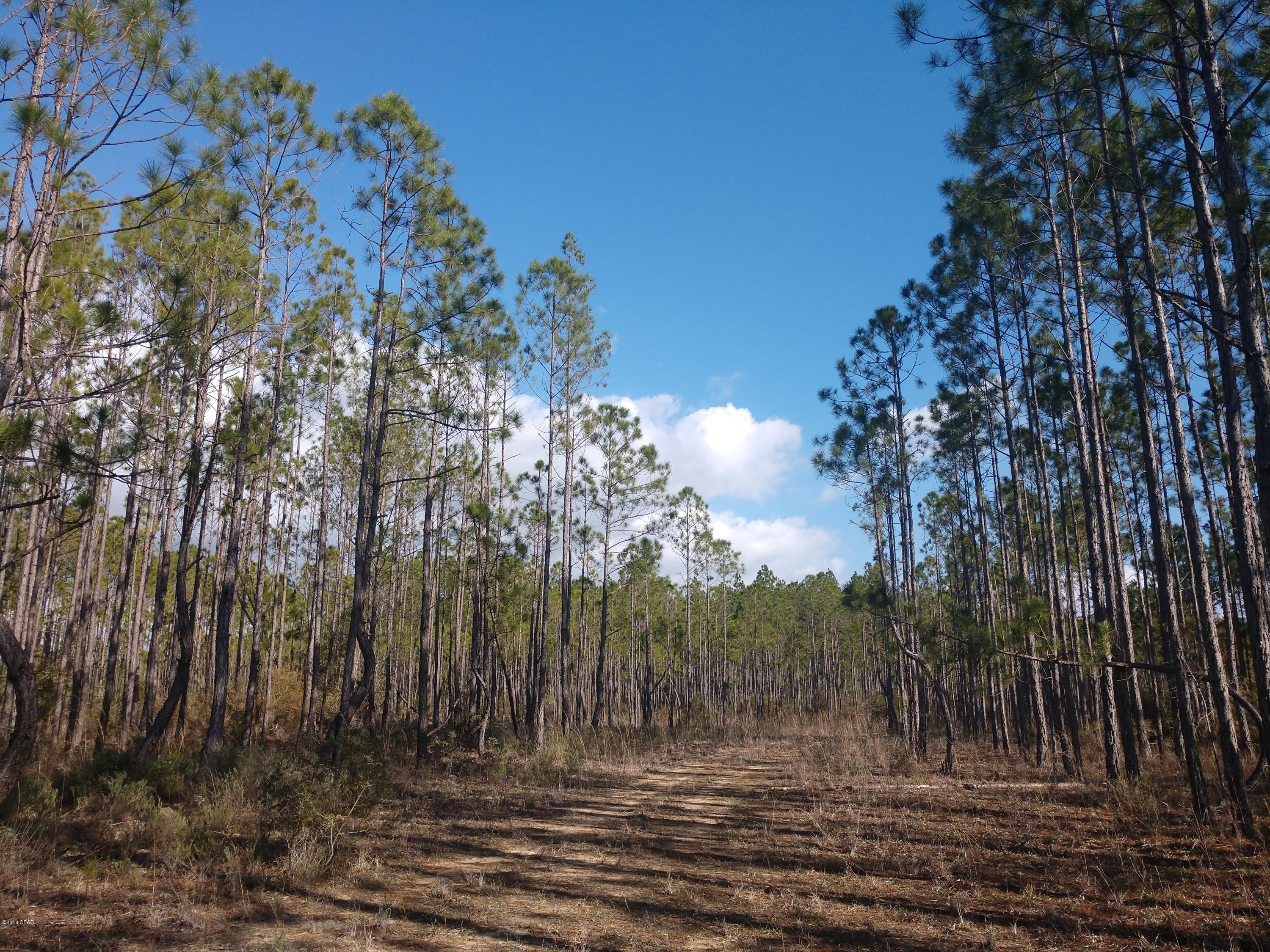 No Named Subdivision - Land