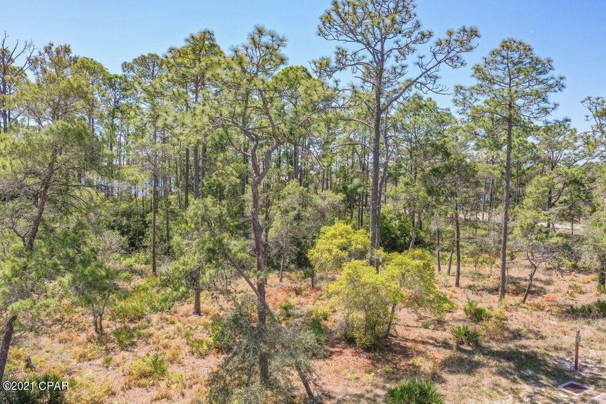 Build your dream home! This .41 acre lot backs to a conservation area and is only a short bike ride to Lake Powell and many amenities. Opportunity awaits you in the beautiful gated community of Wild Heron, a 734-acre Coastal Sanctuary, located on the shores of Lake Powell, Florida's largest coastal dune lake. Experience the fitness center, heated pool and hot tub, a boat house for storing kayaks and paddle boards, community dock, fire pit and gathering area with fireplace, all overlooking Lake Powell. A stunning family park that features many types of fun filled family events are a favorite, along with 24 miles of walking and bike paths linked to the amenities for the convenience of those who call it home... The white sandy beaches of the Gulf of Mexico await you only a short kayak paddle away across the lake. 30A, Rosemary and Alys Beach, are a few minutes' drive to world class dining, grocery stores and shopping as well as Pier Park in Panama City Beach. Golf club and beach club memberships are available to purchase as well as access to the world renowned Greg Norman Sharks Tooth golf course, club house and hydro court tennis courts onsite right here at Wild Heron.
