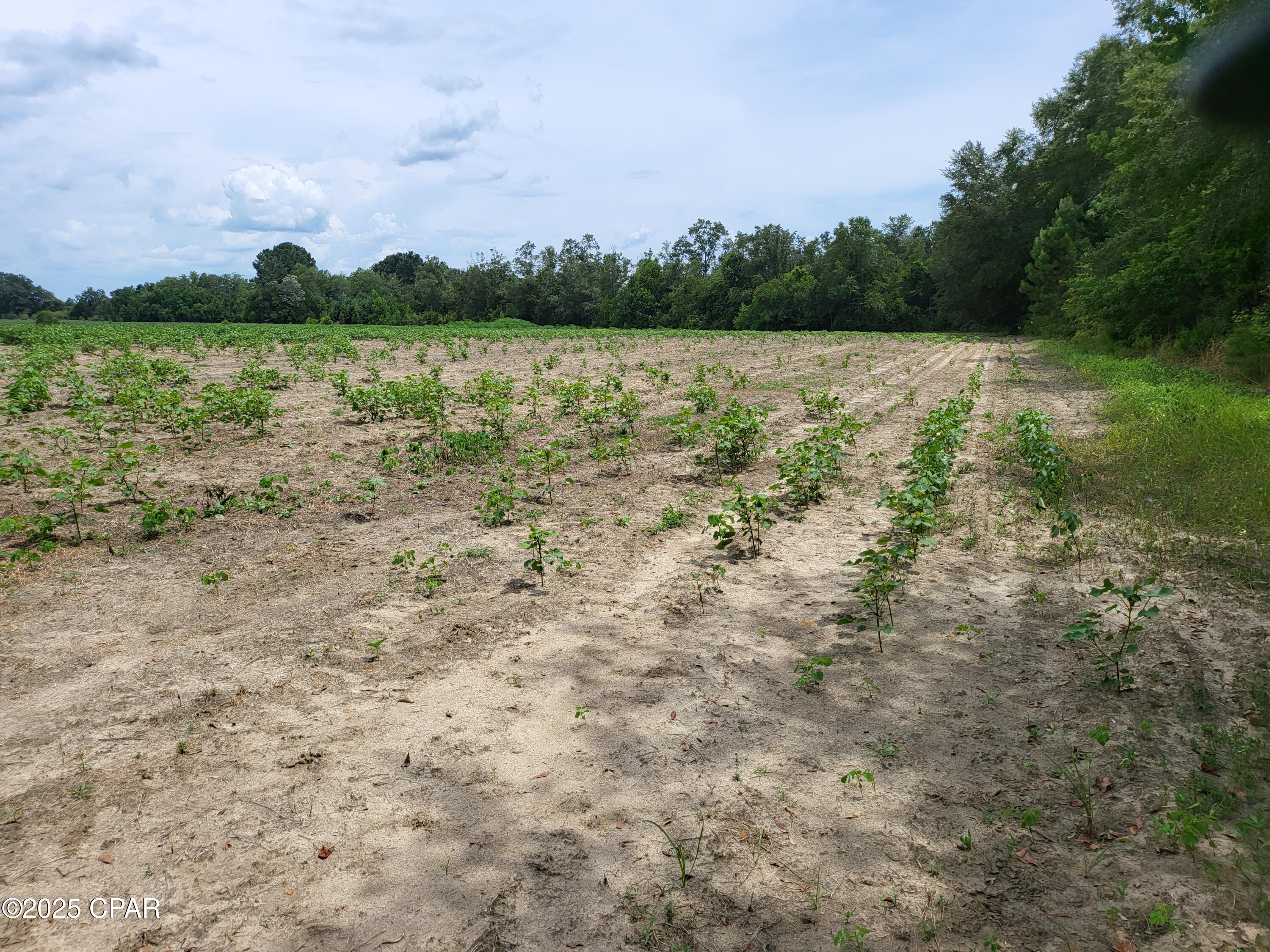 No Named Subdivision - Land