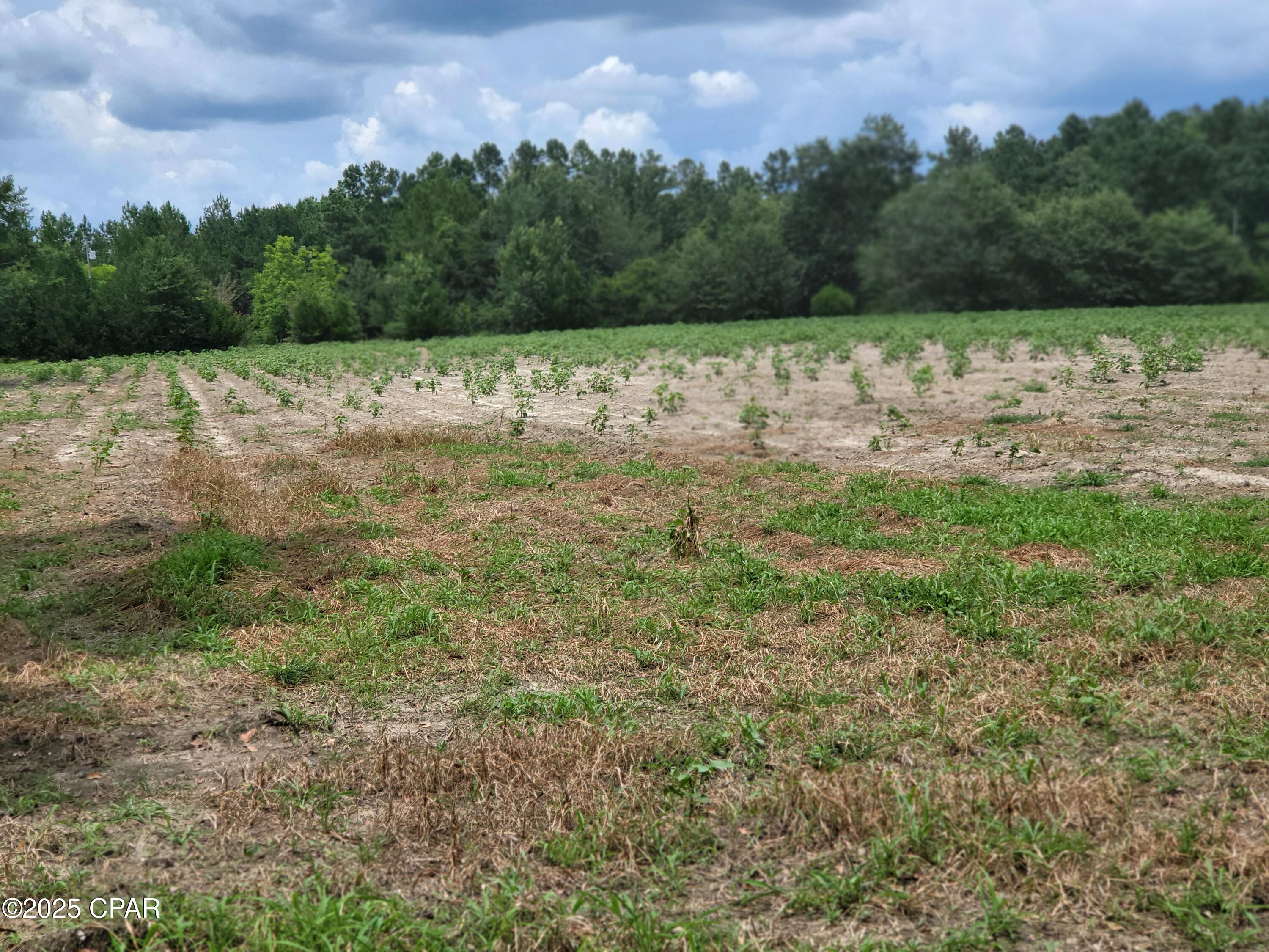 No Named Subdivision - Land