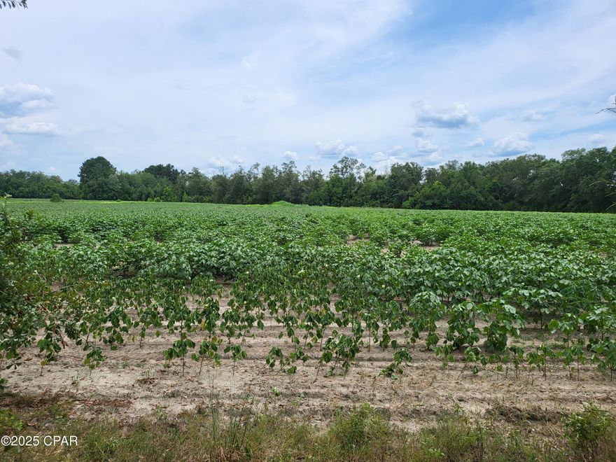 Great location for your new home with this 15+/- acres not far from town. Property is half cleared, and half wooded. Seller has placed no deed restrictions. Site built or mobile homes are allowed, and you can have a mini farm! Property is located just down the road from Falling Waters State Park. Nice country setting and close to shopping, restaurants, and medical facilities. Paved road frontage. Property is being taken from a larger parcel. Buyer to pay for survey.