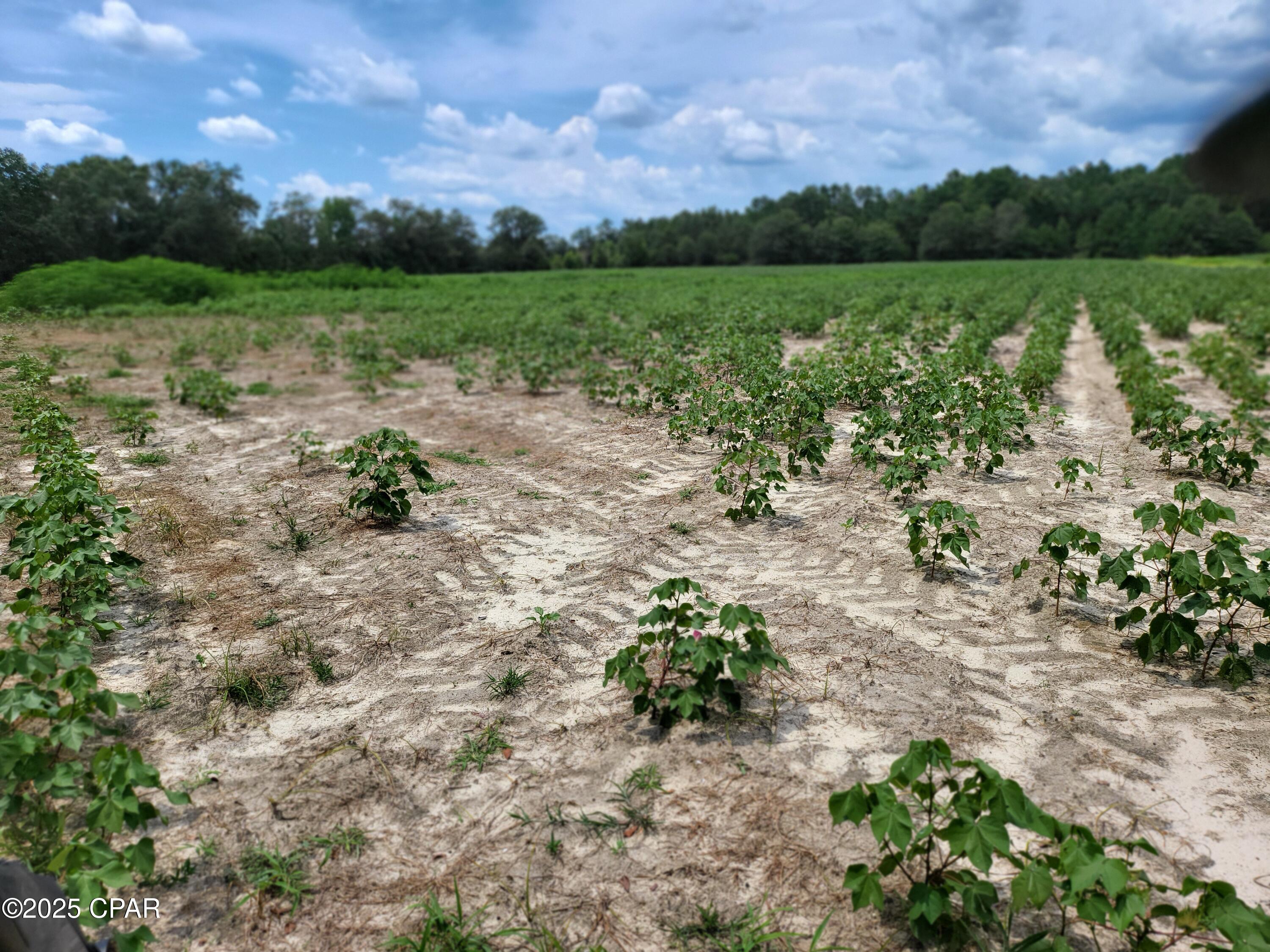 No Named Subdivision - Land