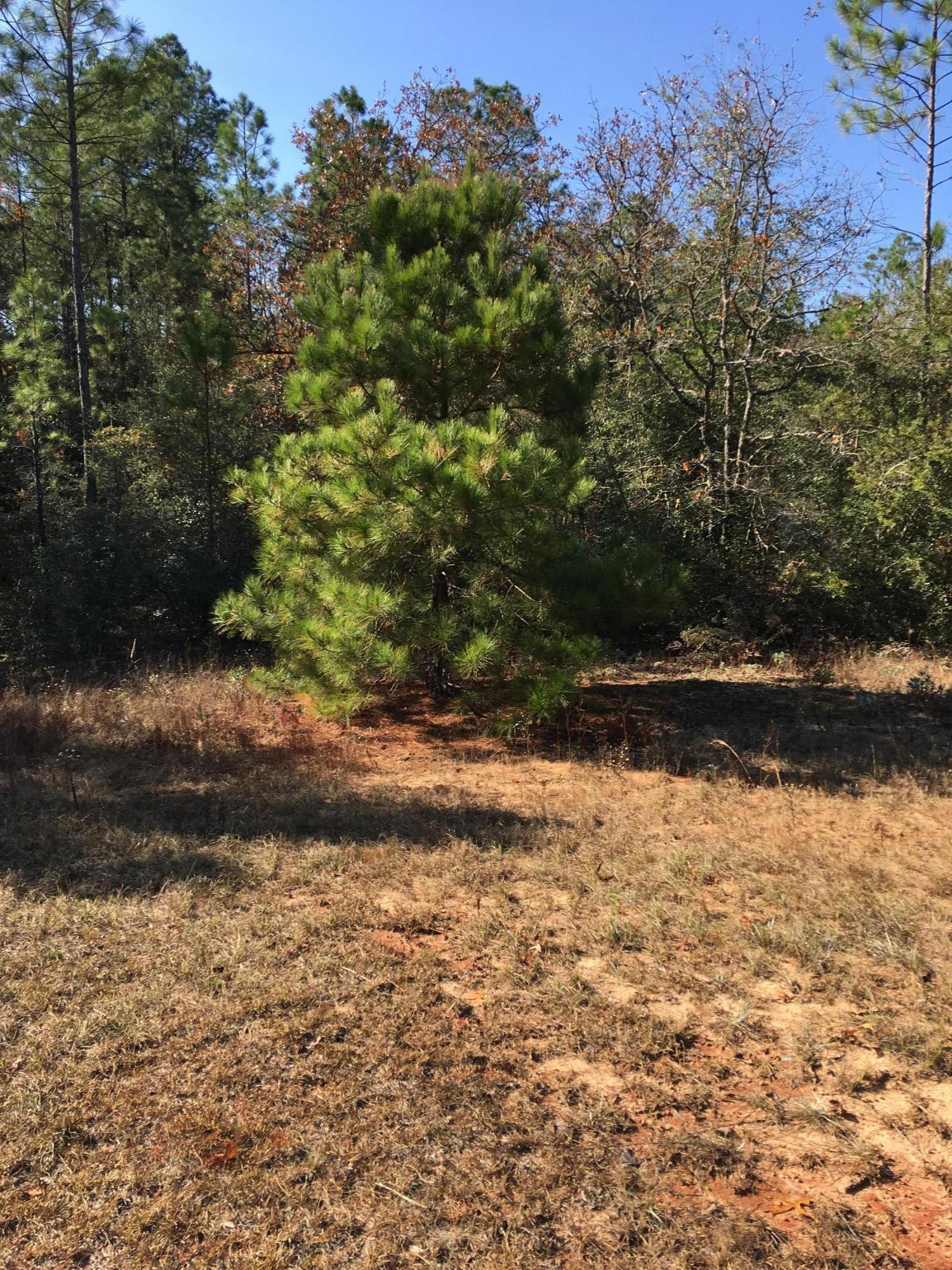 Compass Lake Hills Unit 4 - Land