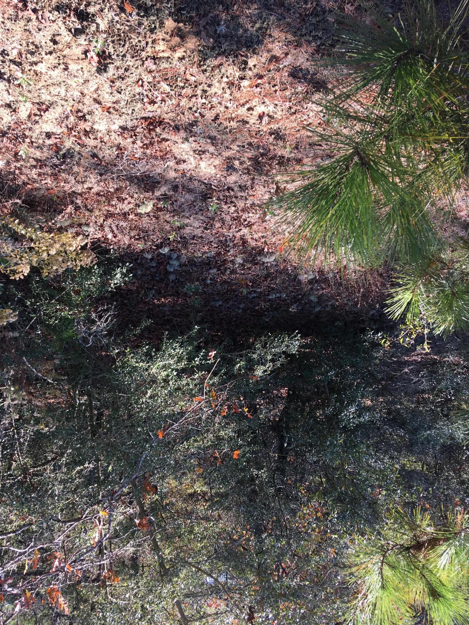 Compass Lake Hills Unit 4 - Land