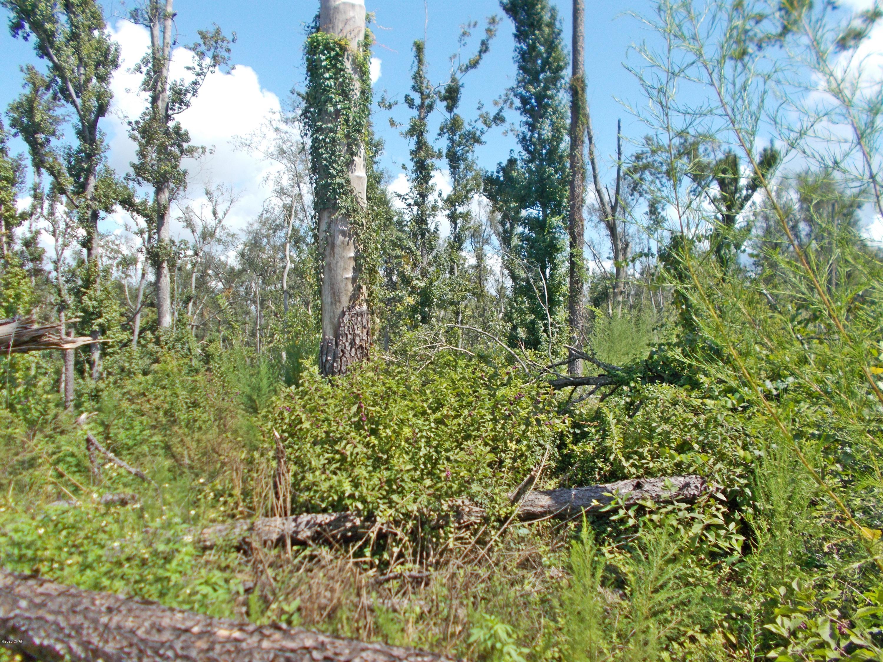 No Named Subdivision - Land