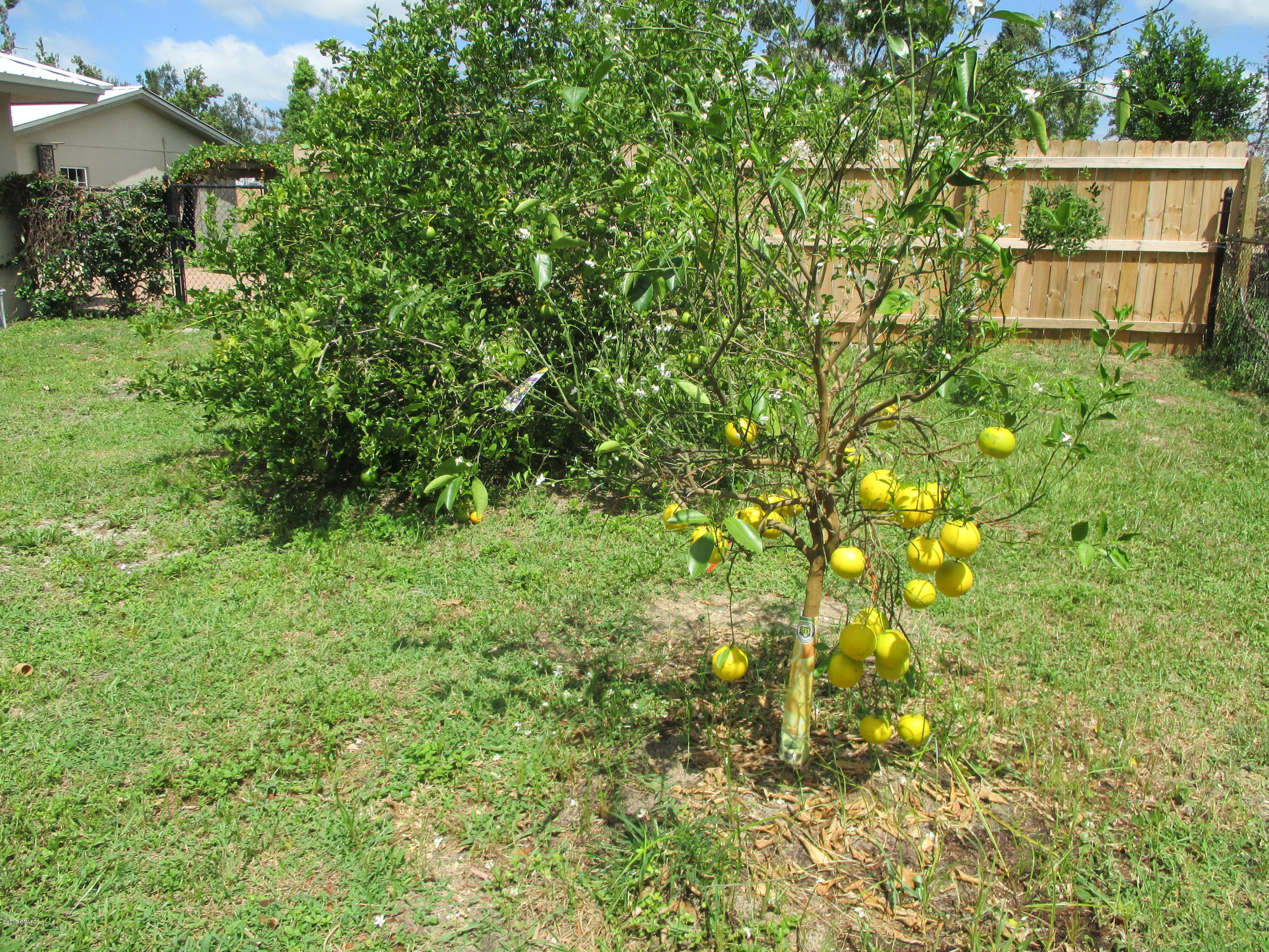 Lake Drive Heights - Residential