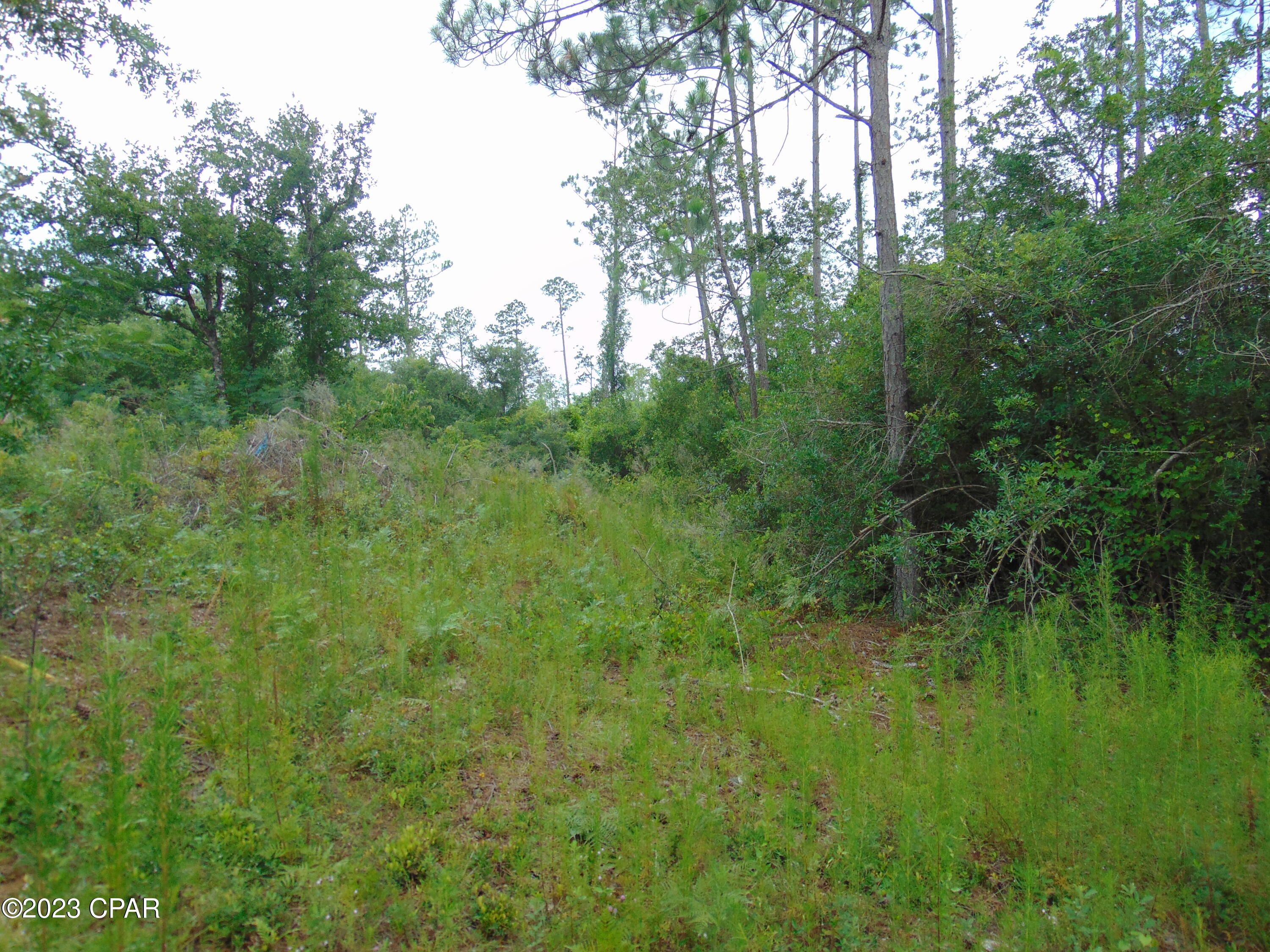 No Named Subdivision - Land