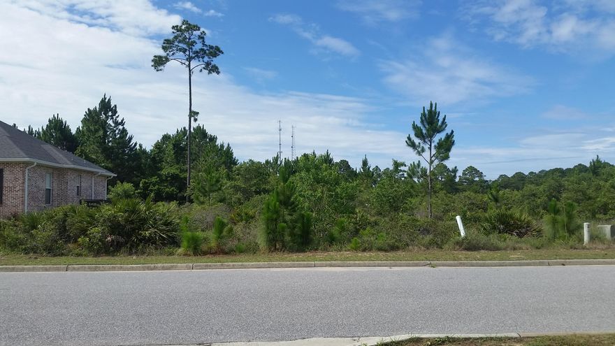 Looking to build your new home? Tapestry Park is the perfect place! This neighborhood is full of beautiful homes and landscaping! There is a clubhouse, playground, pool and 2 tennis courts! It is the perfect area to raise a family! It is centrally located on Panama City Beach, Beach Elementary is right across the street, Shipwrek Island is right around the corner along with restaurants shopping, Pier Park and the beach! Come see why this is one of the most desirable neighborhoods on Panama City Beach!
