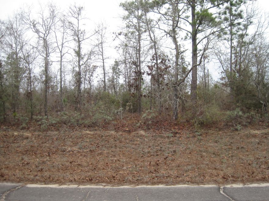 This 0.38 acre lot is lightly wooded and ready for you to build on. All main roads to get to the property are in great shape. No houses close by. This would make for a great wedding/birthday gift or something to pass down to future generations. Deer tracks everywhere. Land is easy to clear. neighborhood is really quiet. Sunny Hills golf course and country club just around the corner. Easy to see just take a drive up there and look for my sign.