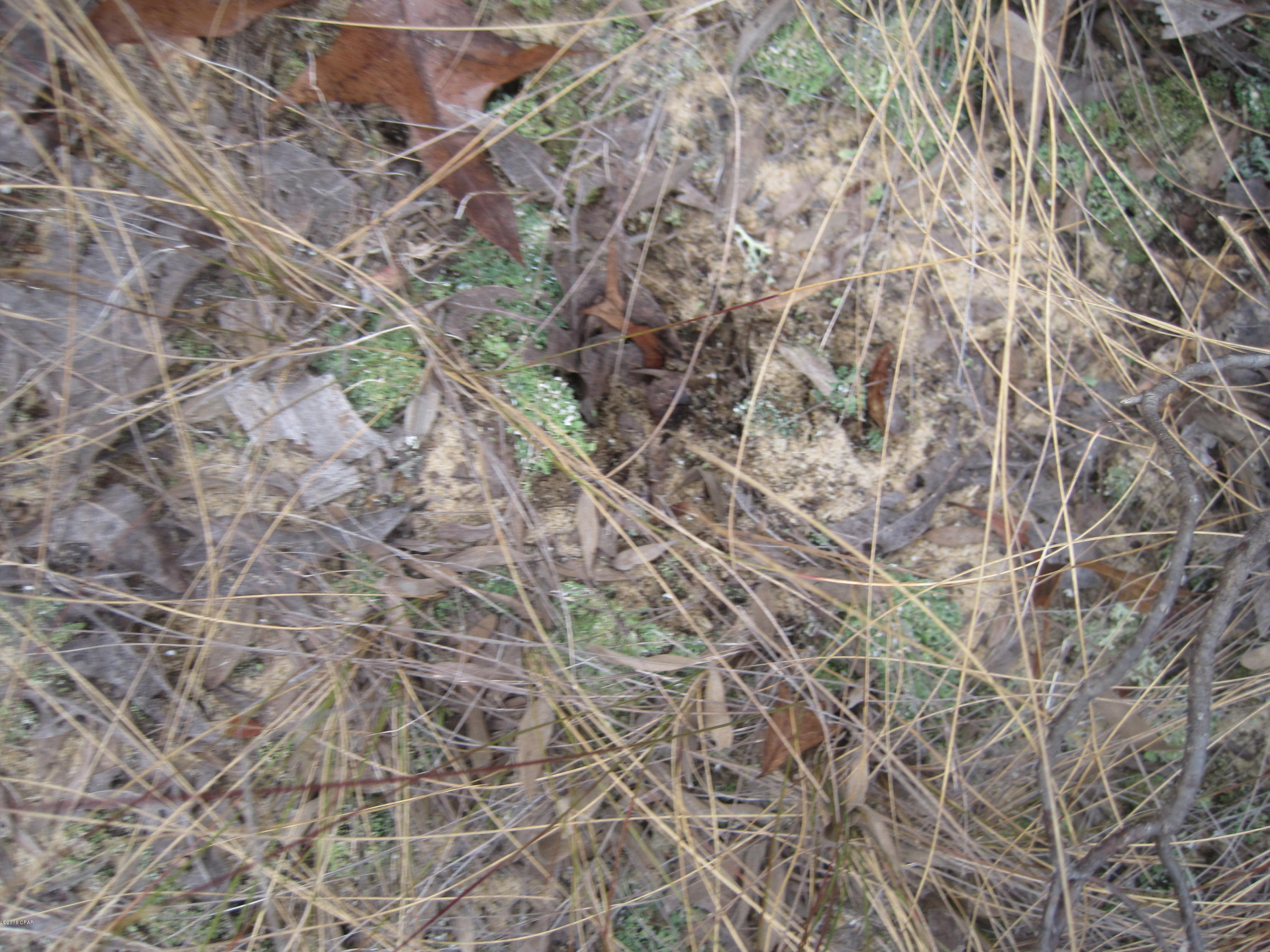 Sunny Hills Unit 6 - Land