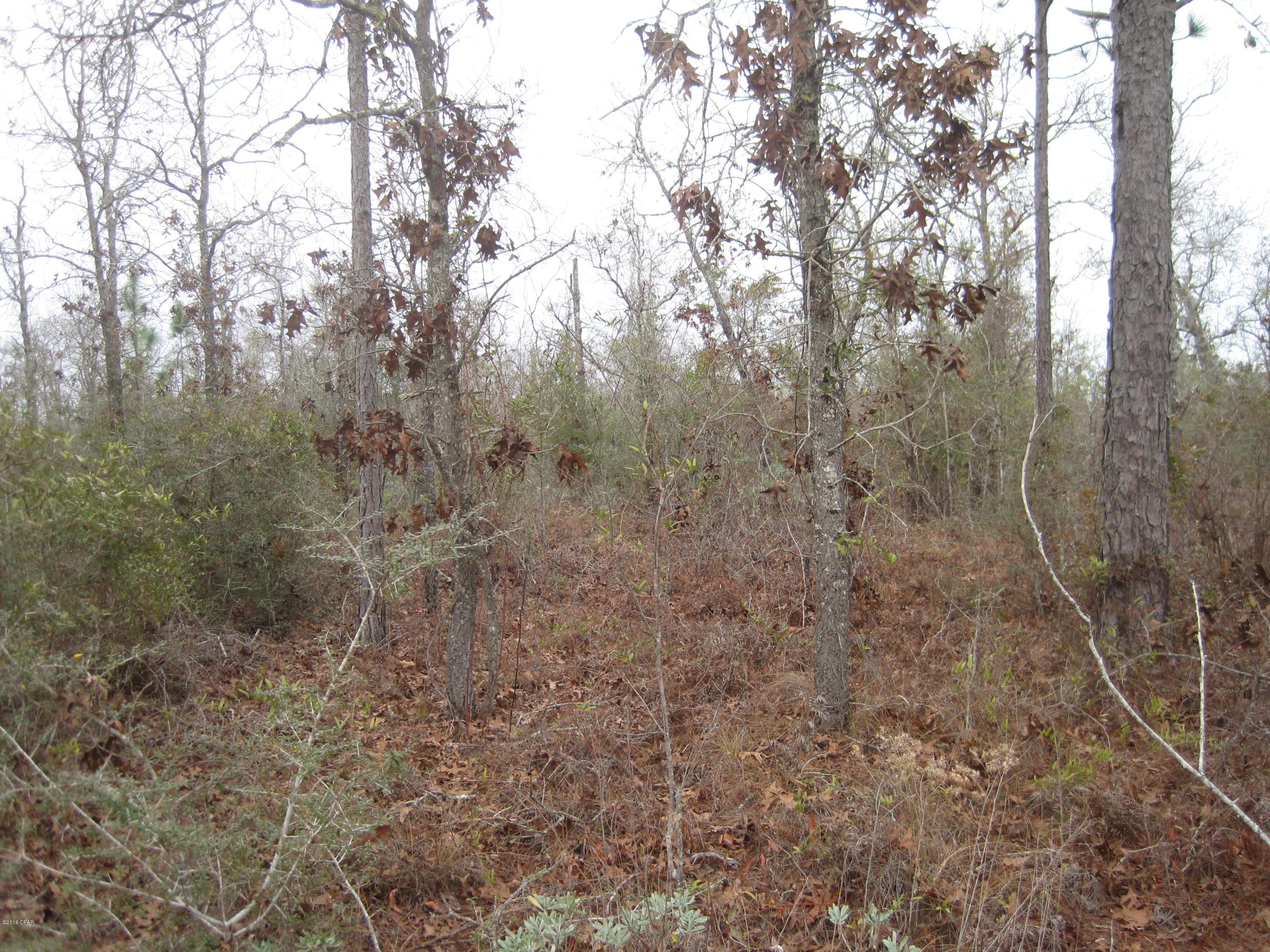 Sunny Hills Unit 6 - Land