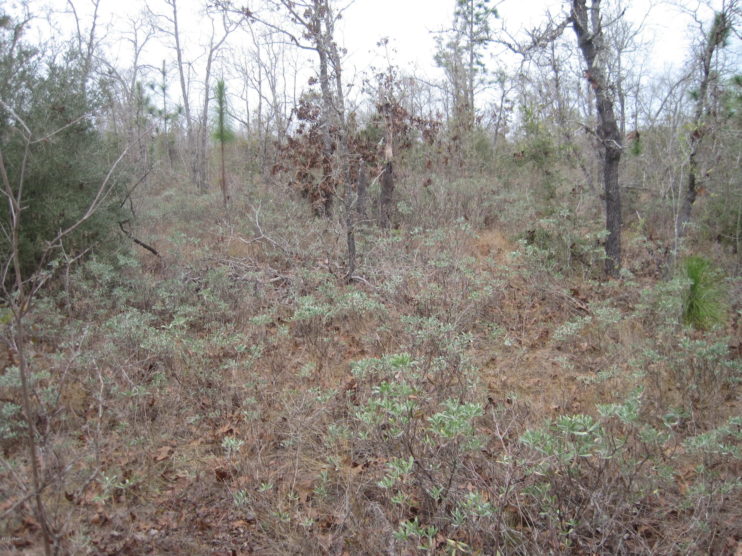 Sunny Hills Unit 6 - Land