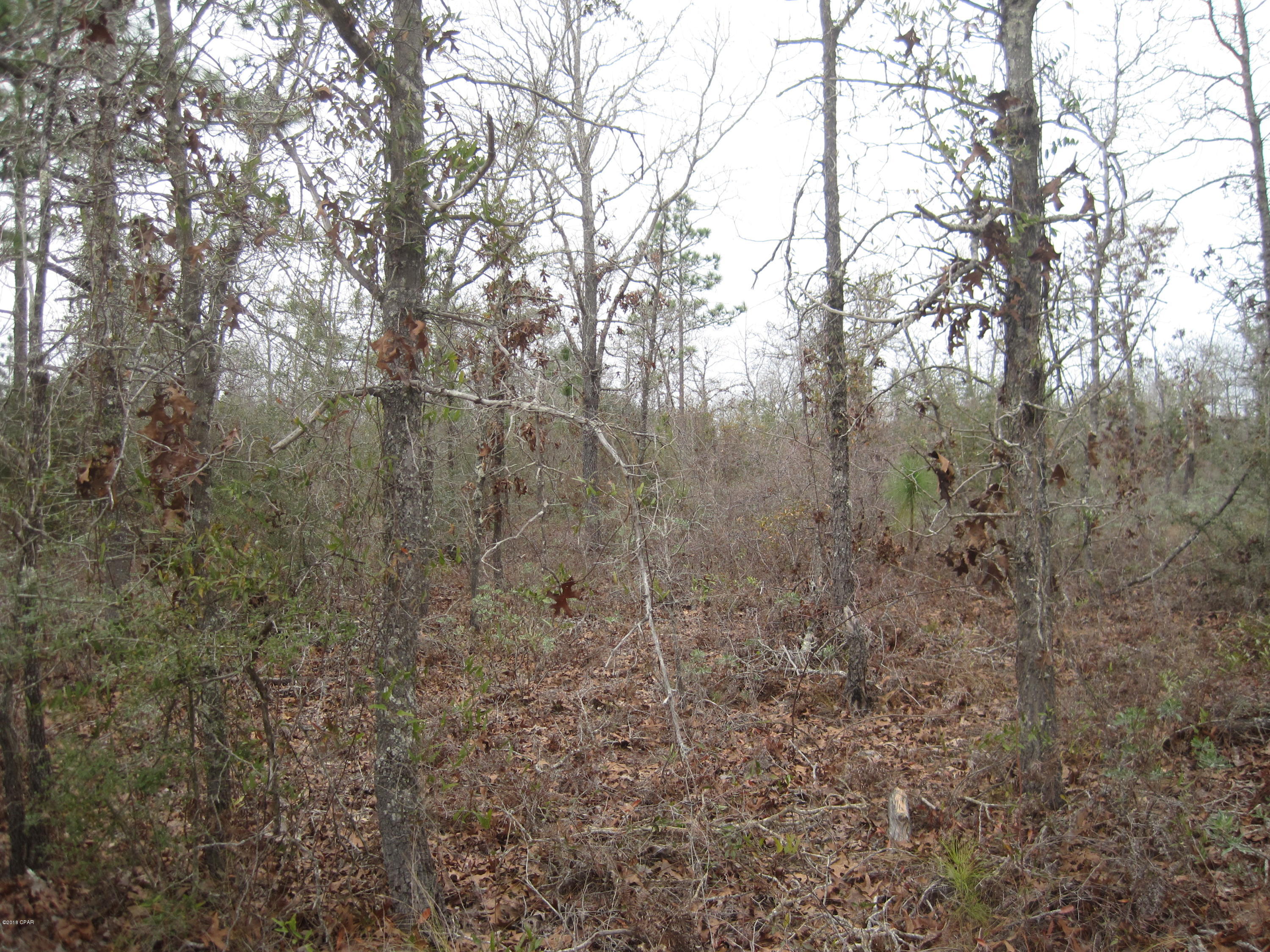 Sunny Hills Unit 6 - Land