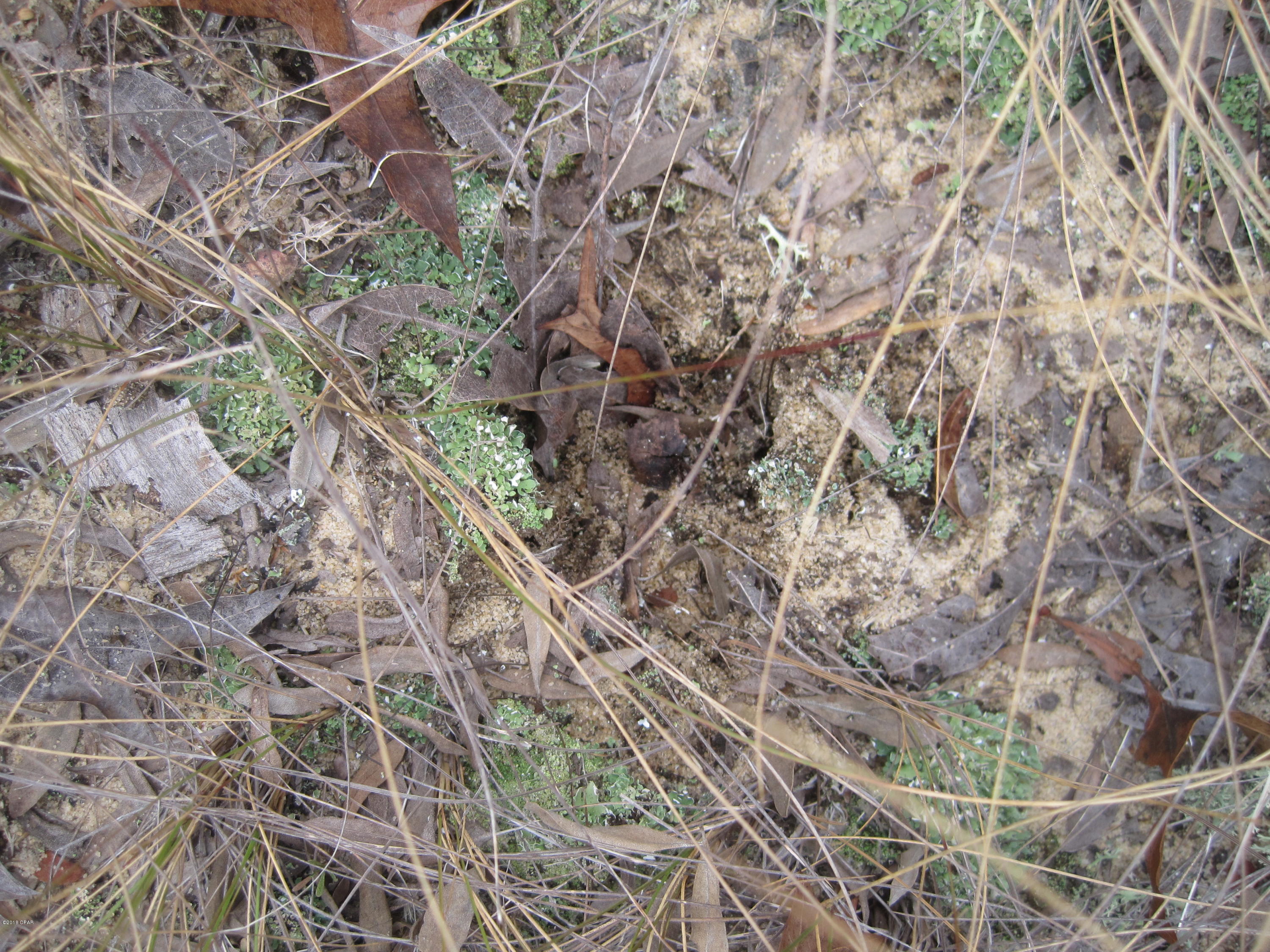 Sunny Hills Unit 6 - Land