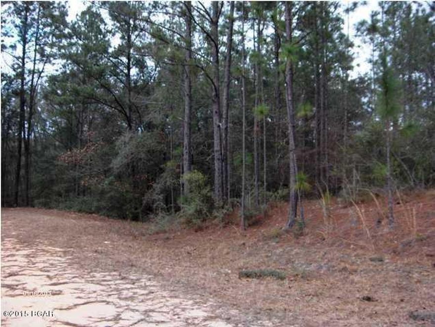 Wooded buildable lot located not far off hwy 167. Ammenities included for all property owners to enjoy. Includes 2lakes,2 clubhouses,in ground pool, golf driving range, tennis courts, horseback riding and boating. Hoa fees are $135 per year and are included in property taxes.