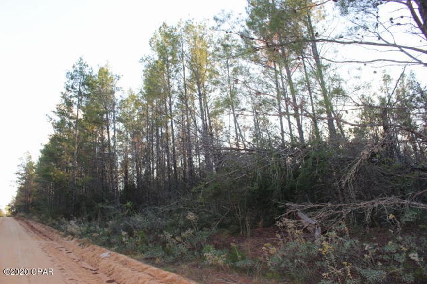 'CURRENTLY UNDER CONTRACT, SELLER ACCEPTING BACKUP OFFERS' 71.57 ACRES MOL located between Caddo Ave and Tract Rd to be surveyed out of parent parcel @ $2,100 per Acre.  Survey to determine exact acreage.  3 road access.  Creek on Triangle CT side.   Investment property, hunting, recreational or use as residential or multi-residential. Wooded with sand pines.  Close drive to Lakepoint Rd and Hwy 231. Minutes to public boat ramp at Compass Lake for boating, skiing and fishing. 45 minute drive MOL to Panama City to Beaches.