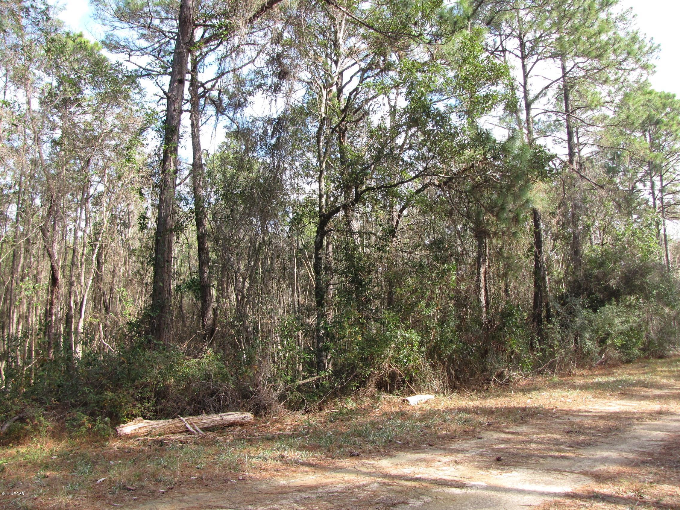 Compass Lake In The Hills - Land