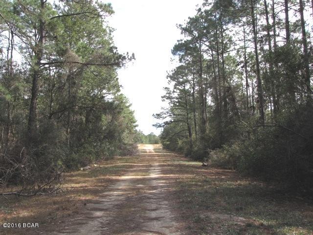 Compass Lake In The Hills - Land