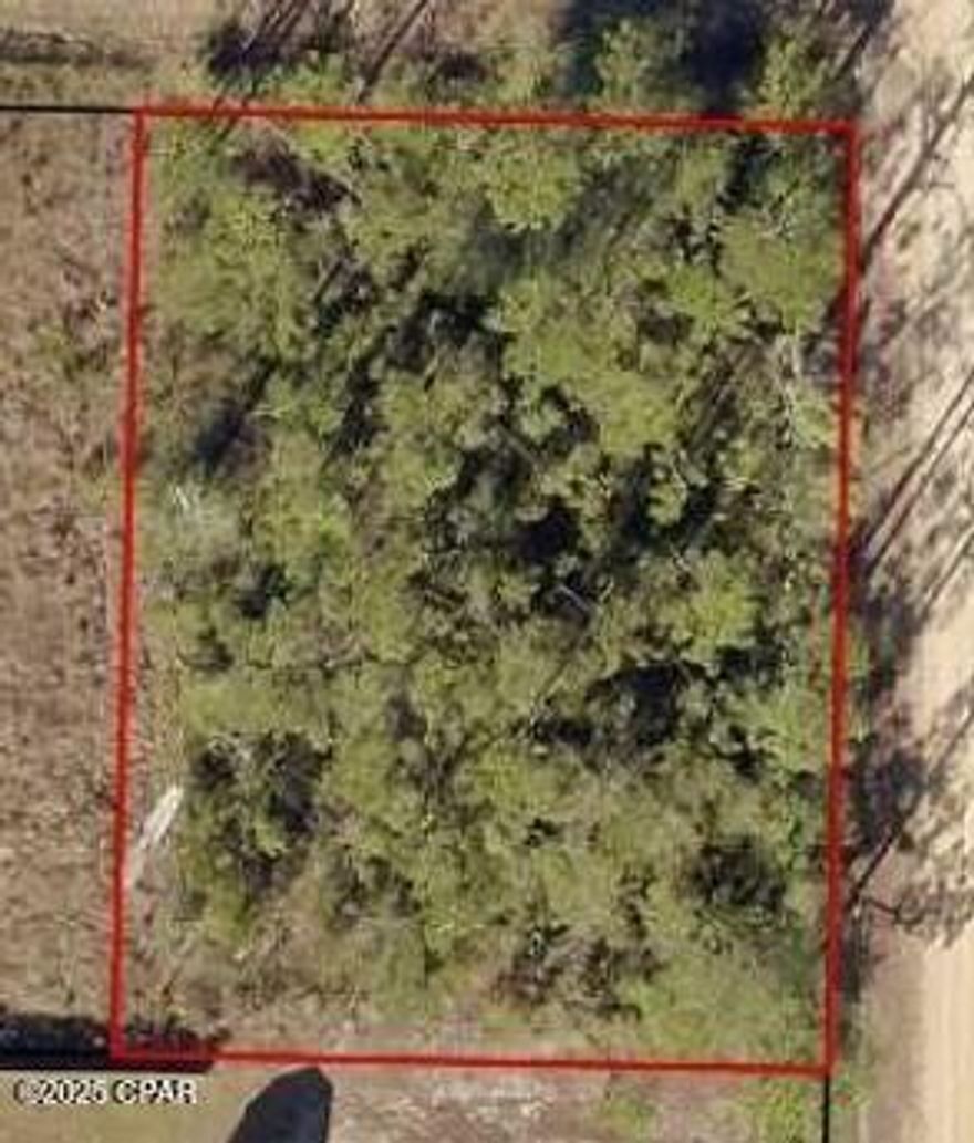 Build your dream on this secluded lot in the Fountain area of Bay County. Just a short drive to the world's most beautiful beaches, natural Florida Springs, and all the conveniences and luxuries of the Panama City area while still having your own quiet place to get away from it all. Call your favorite Realtor today to learn more about this property.