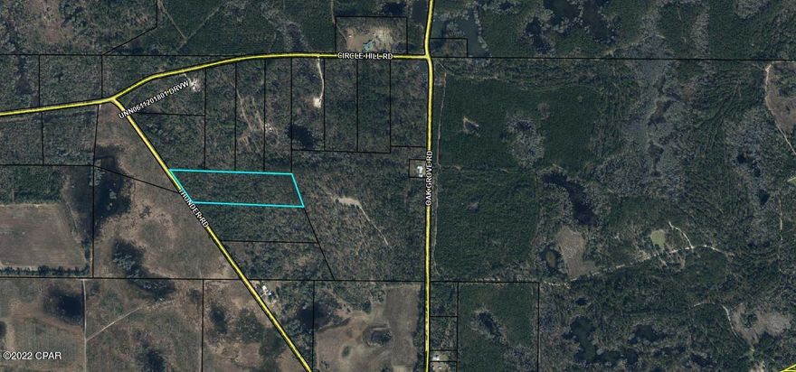 Wooded 12+ acres perfect for building your new home in the country. With an abundance of wildlife, quick drive to Lake Seminole, and the Chattahoochee river, this is a hunter or fisher's delight. Conveniently located near the Georgia, Florida and Alabama Border, you have quick access to 3 states as well as the white sandy beaches on the Emerald Coast.