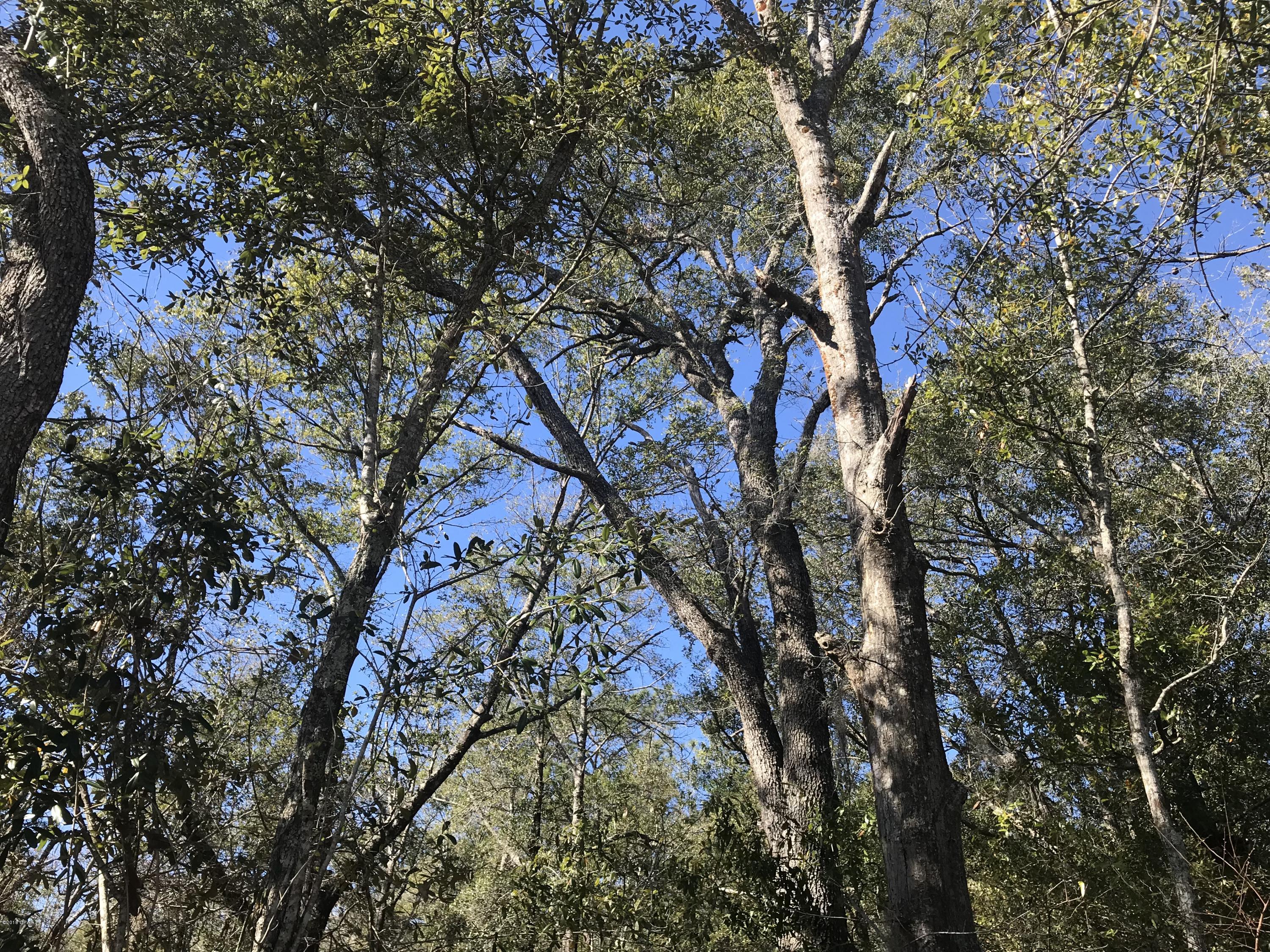 Grassy Pond Ranch - Land