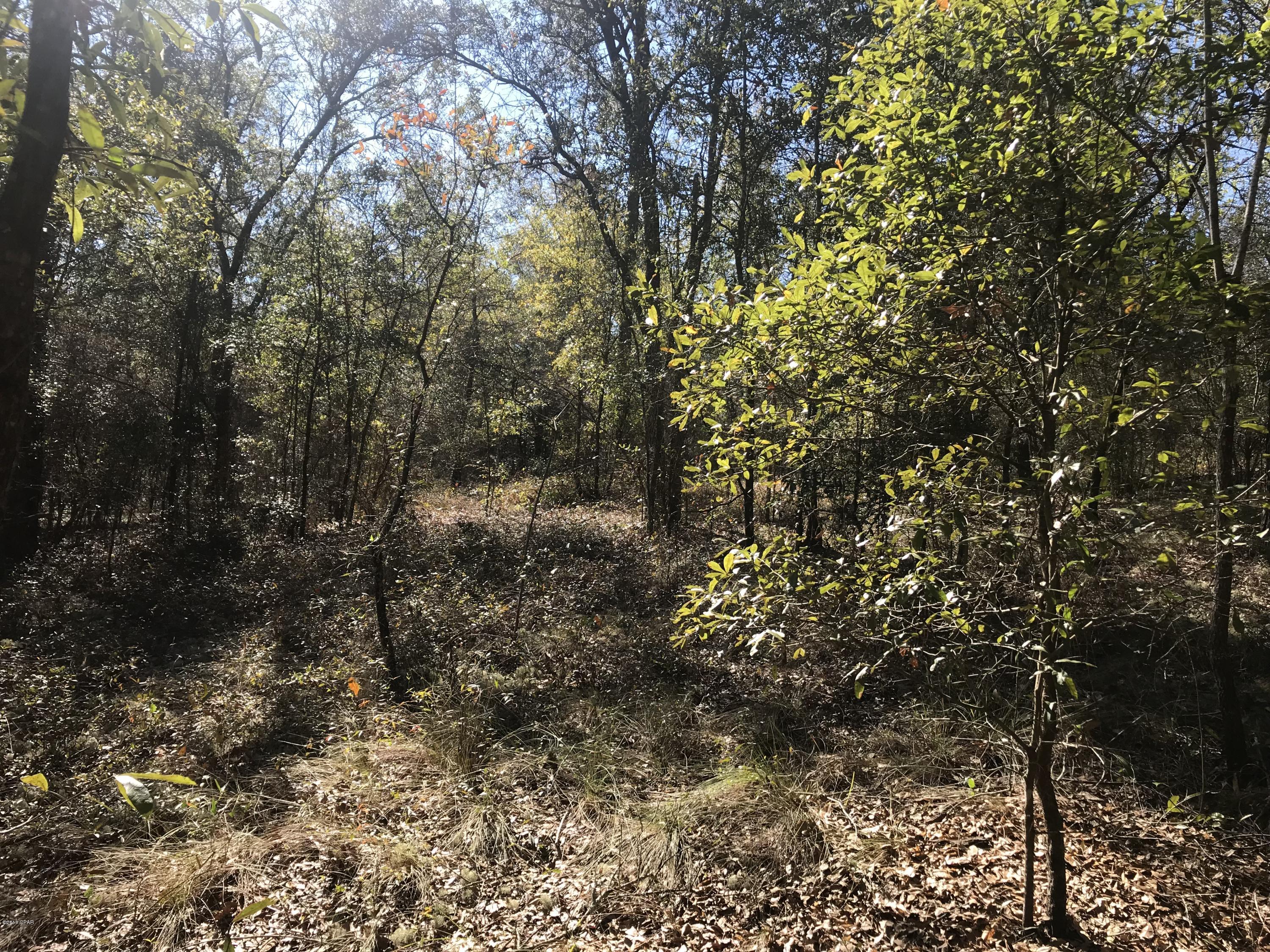 Grassy Pond Ranch - Land