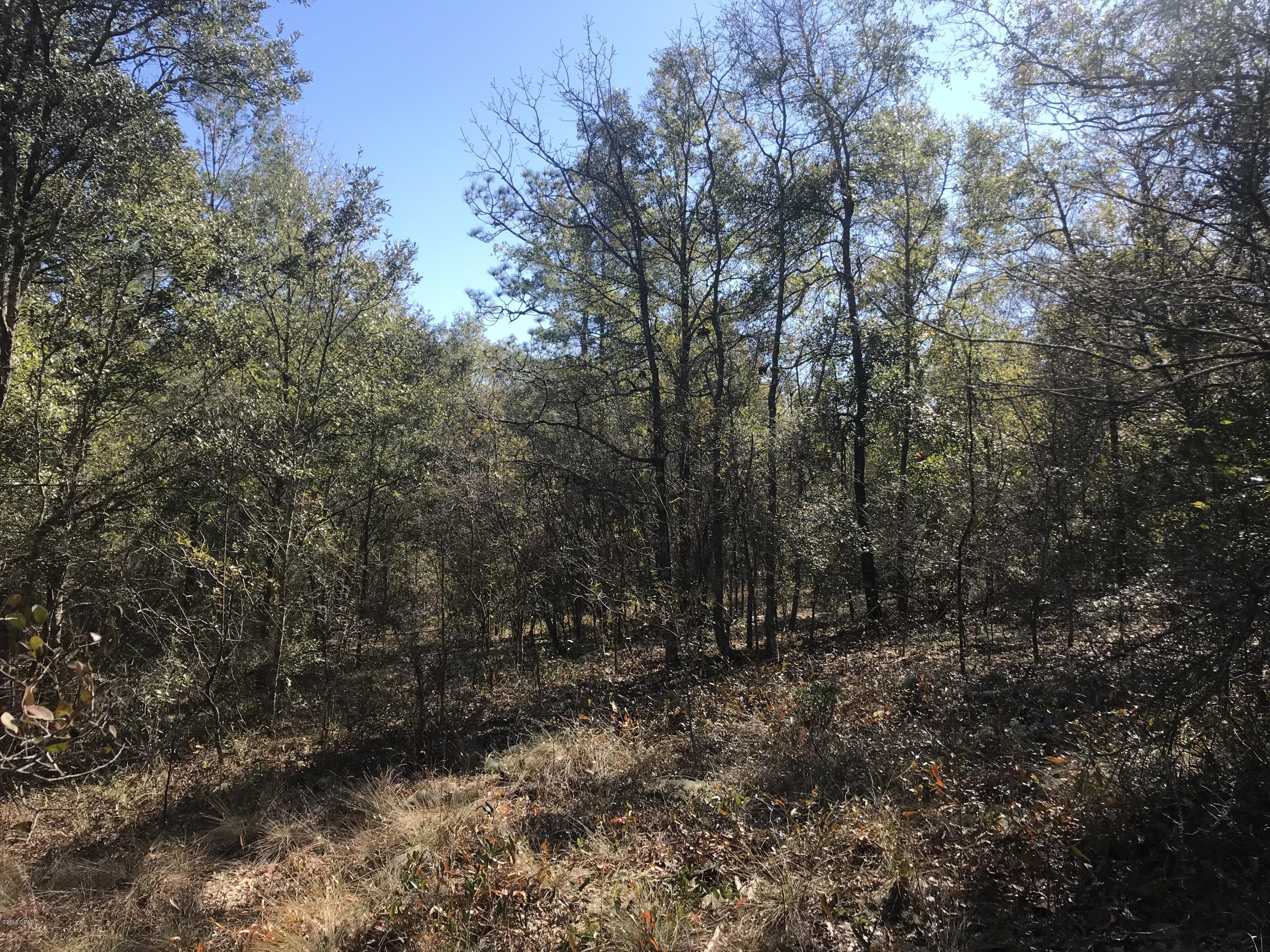 Grassy Pond Ranch - Land