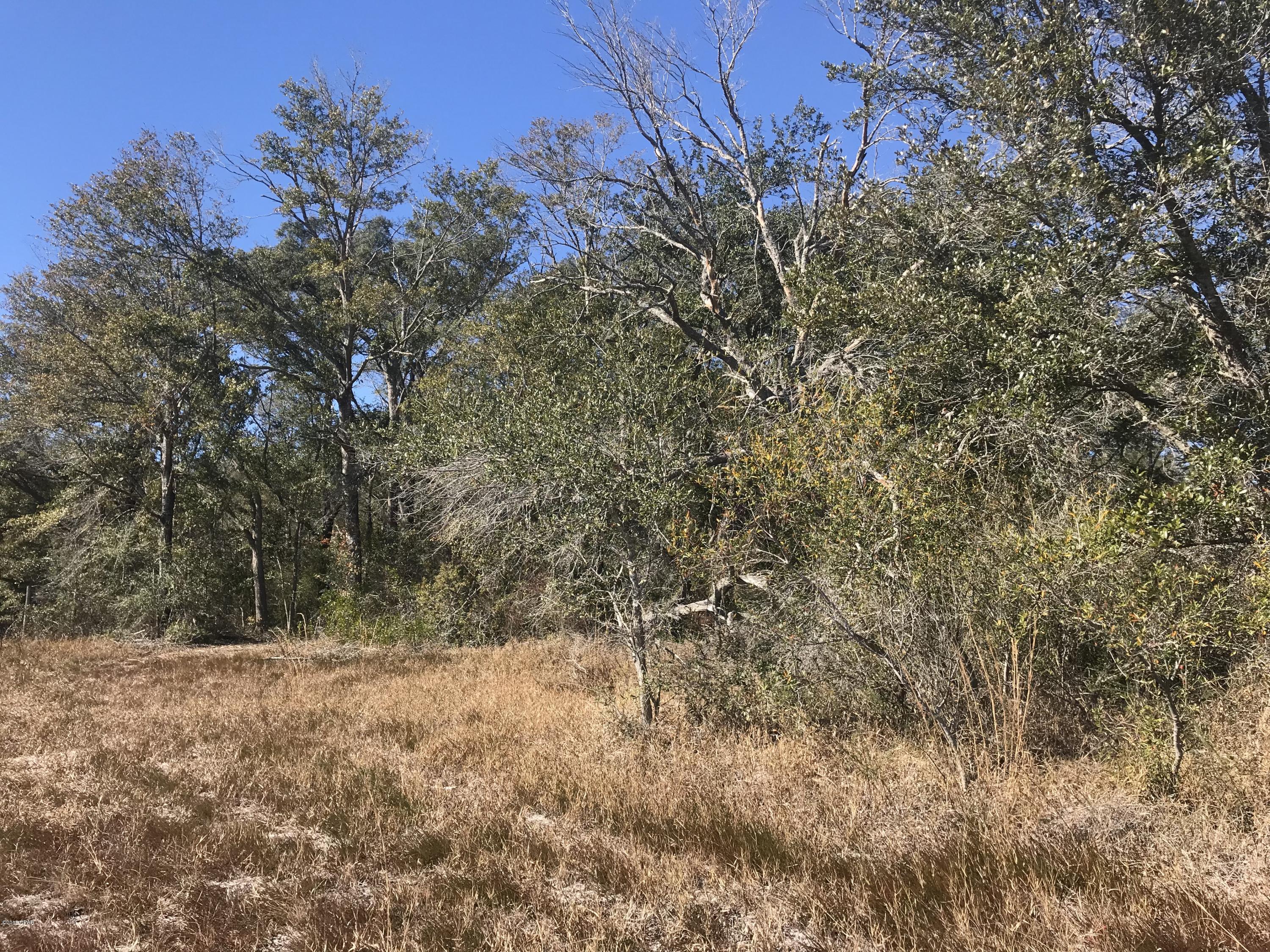 Grassy Pond Ranch - Land