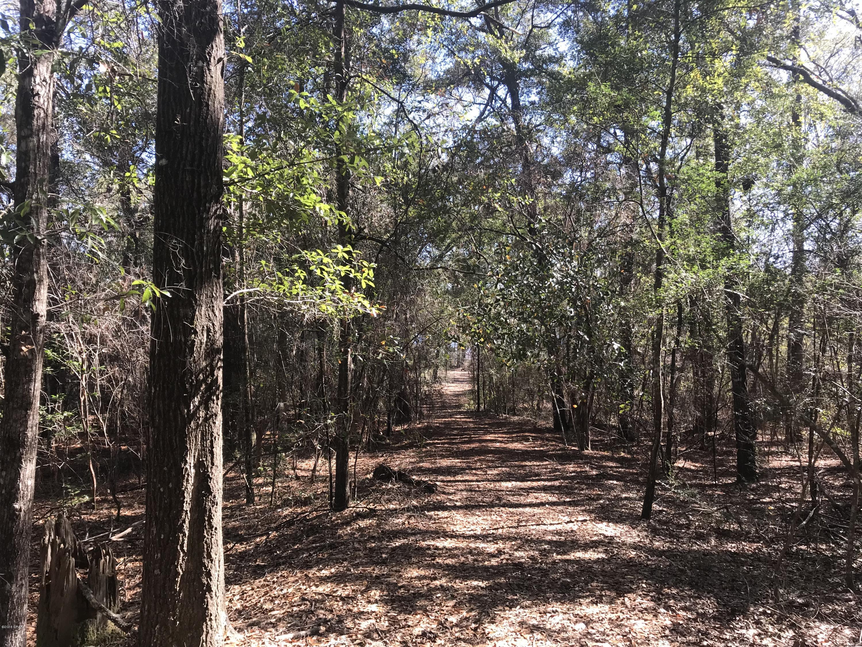 Grassy Pond Ranch - Land