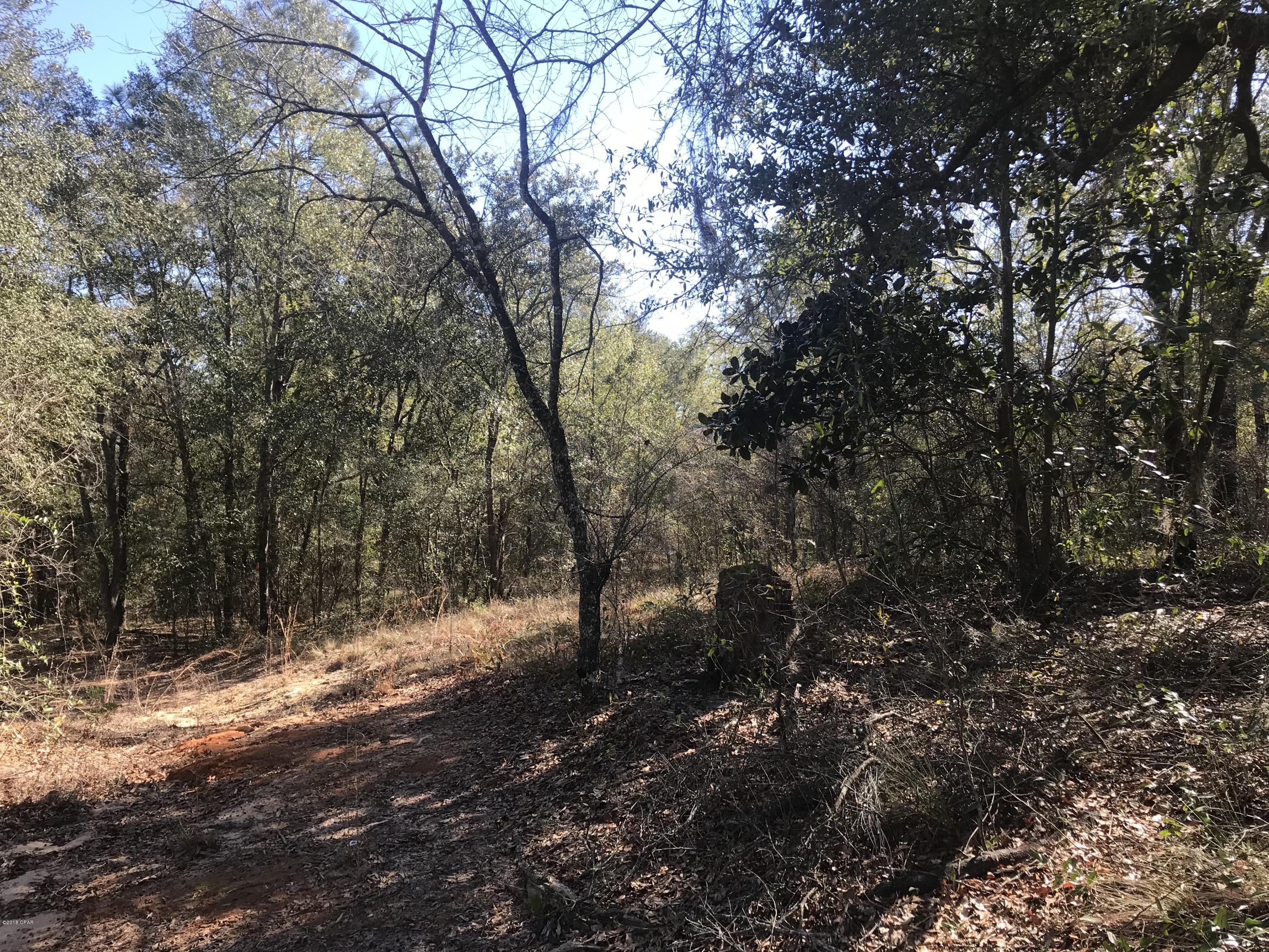 Grassy Pond Ranch - Land