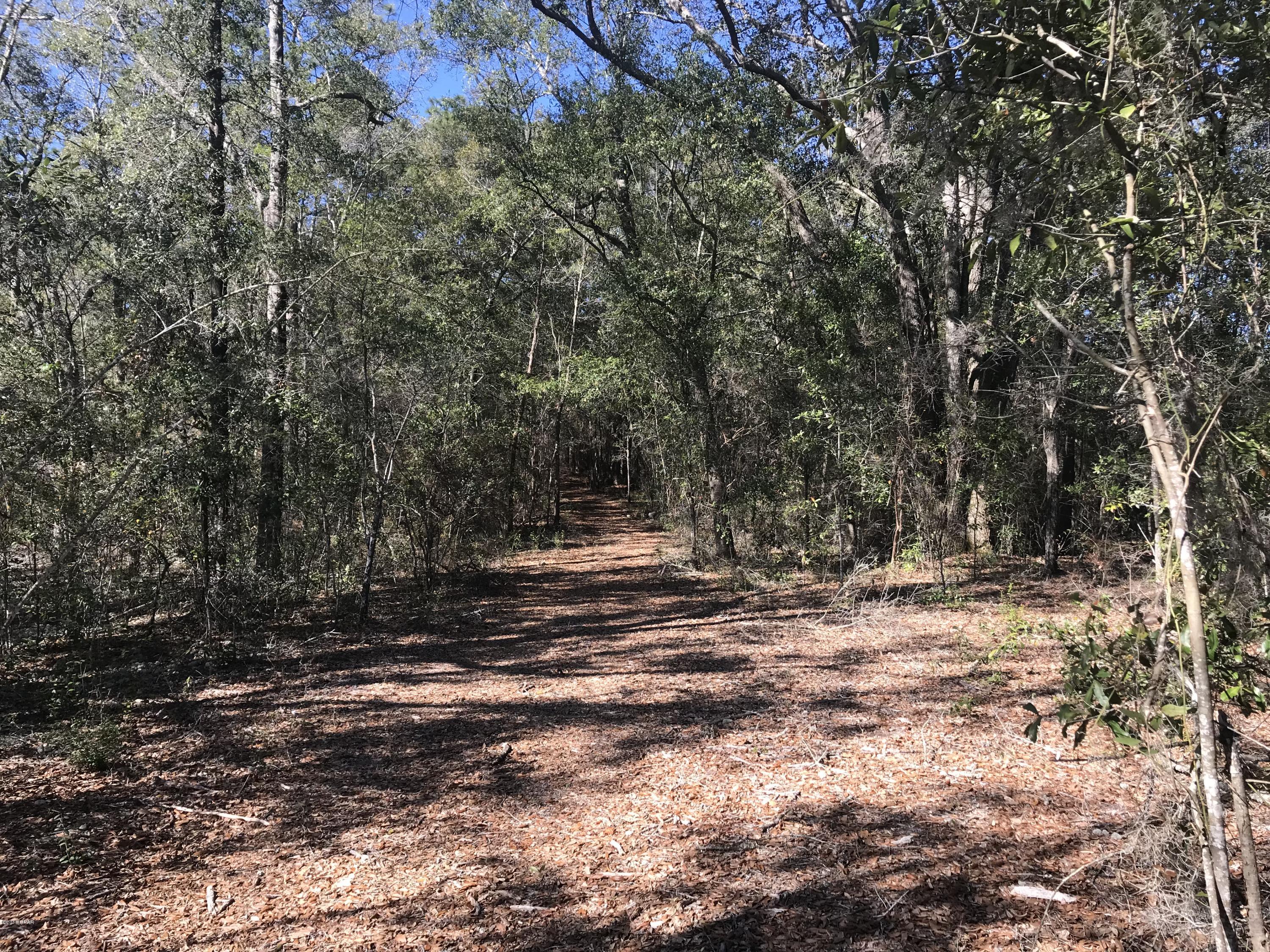 Grassy Pond Ranch - Land