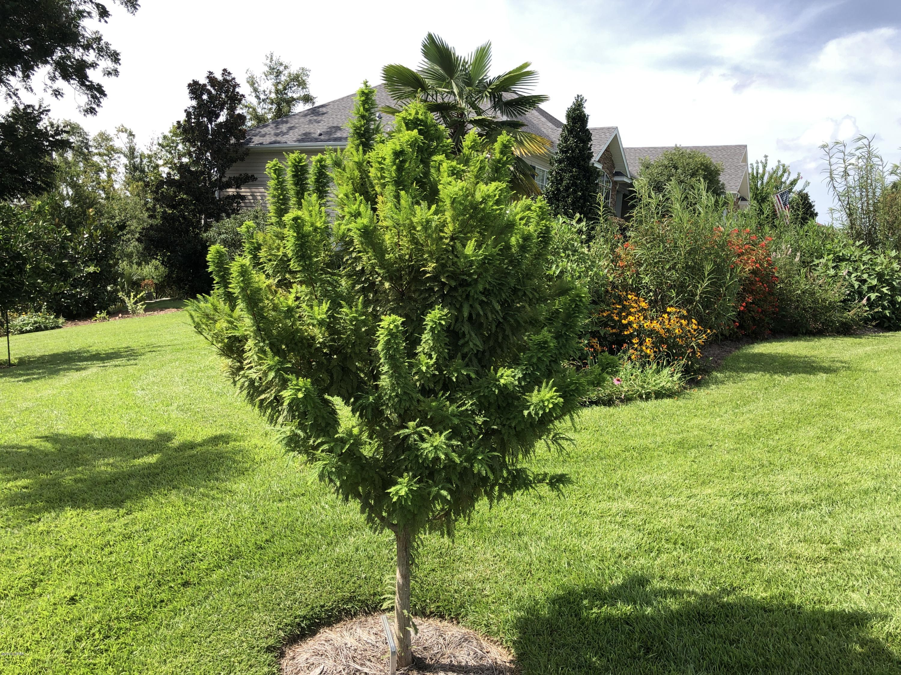 Spring Chase - Residential