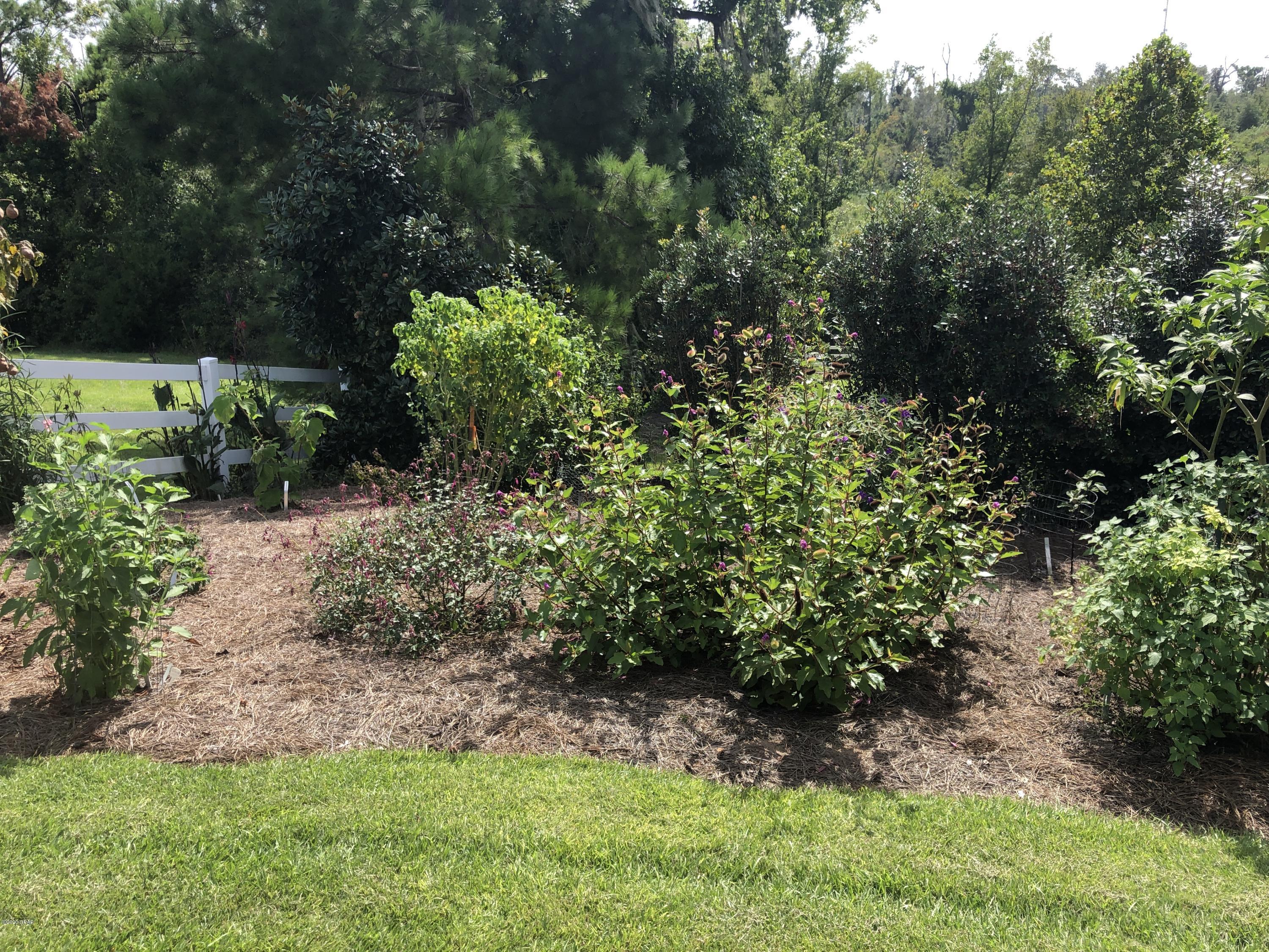 Spring Chase - Residential