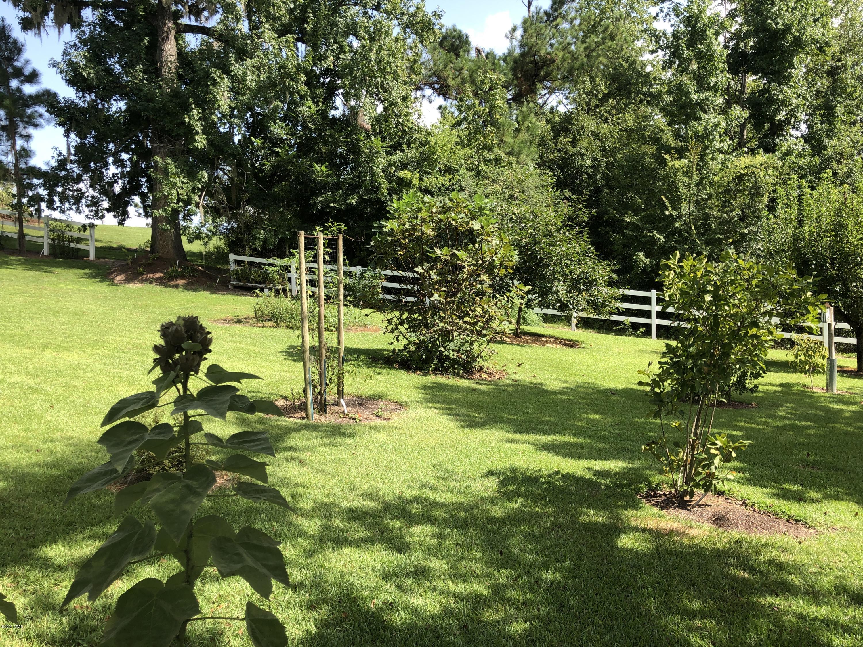 Spring Chase - Residential