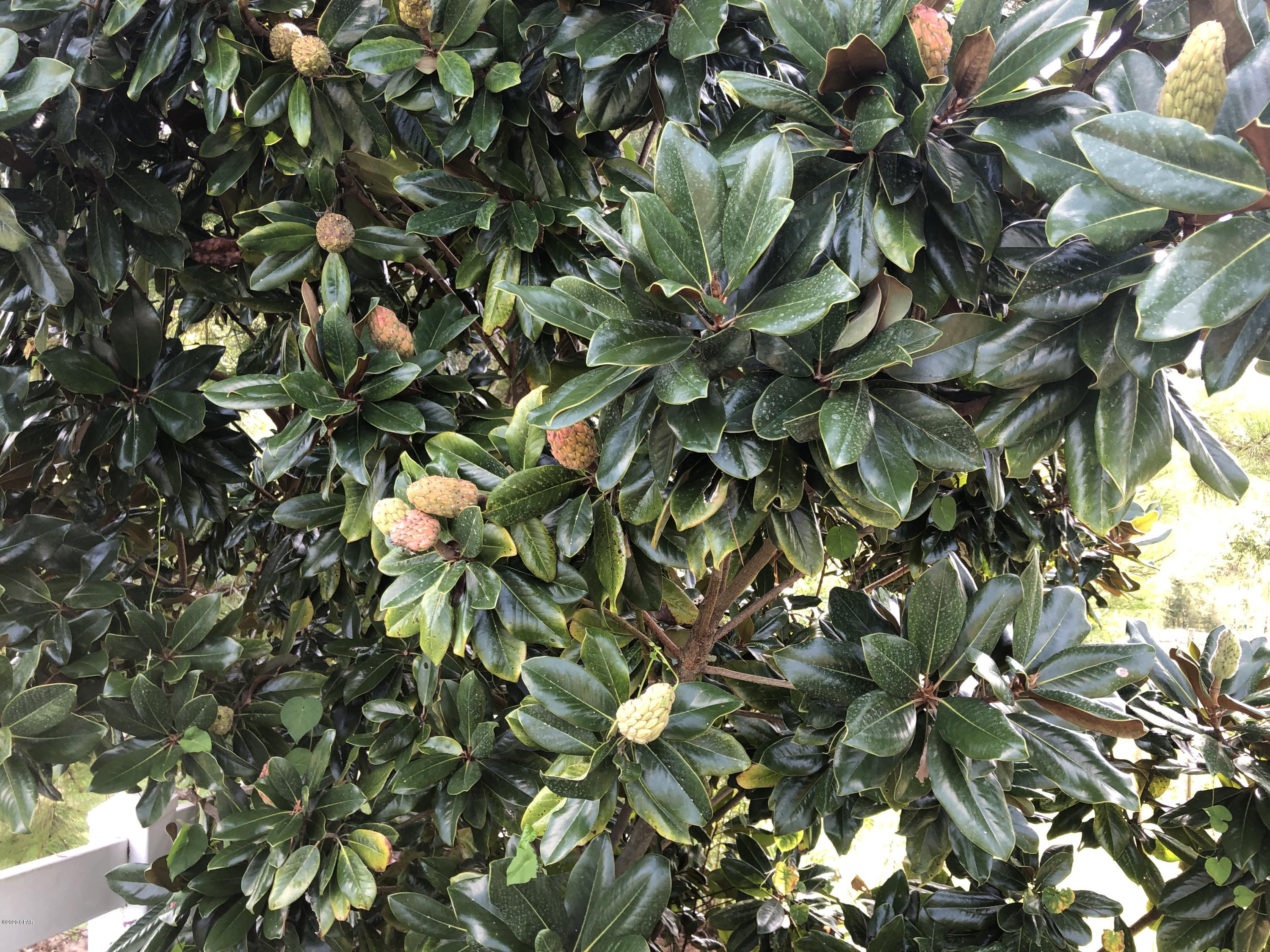 Spring Chase - Residential