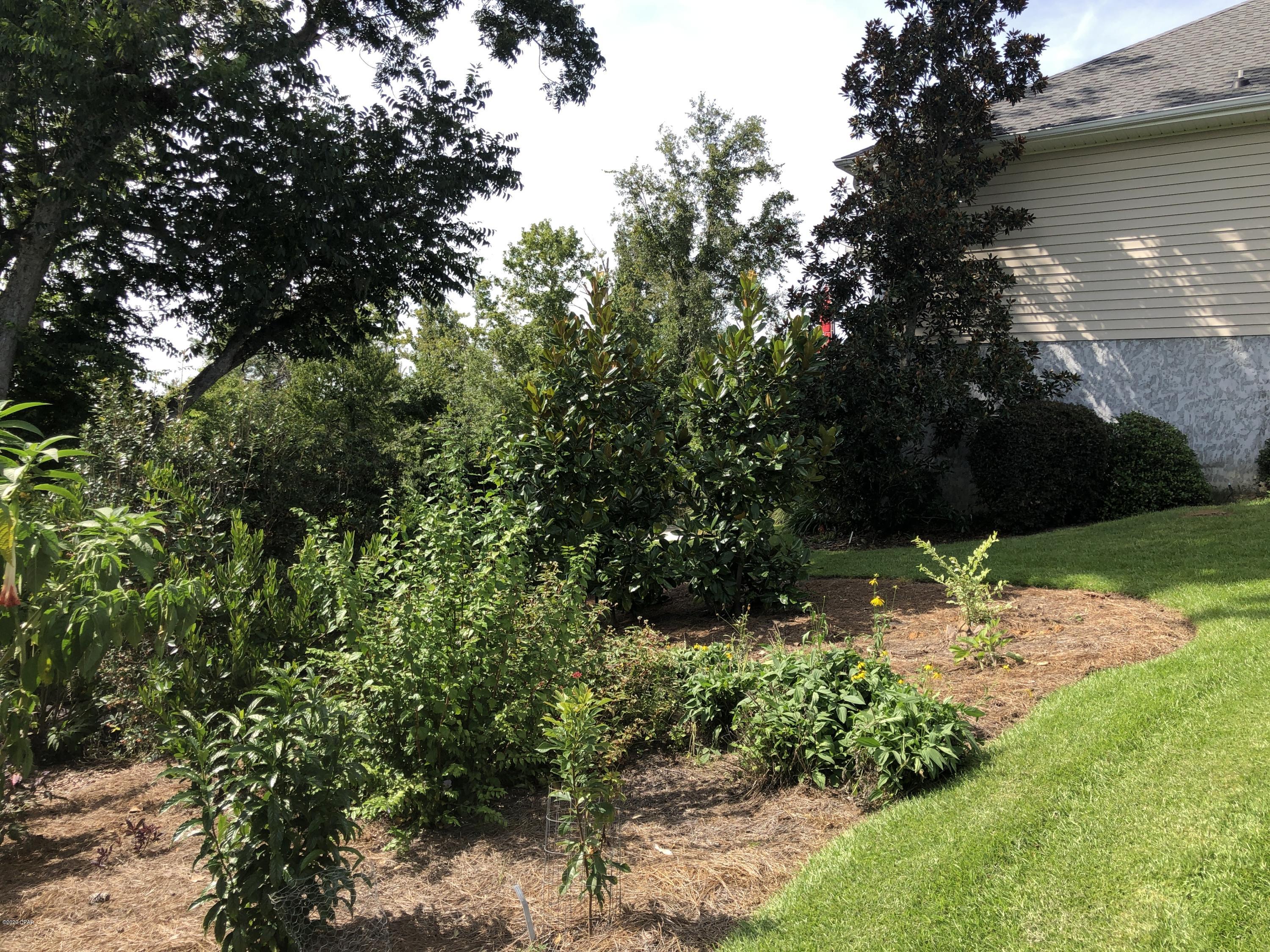 Spring Chase - Residential