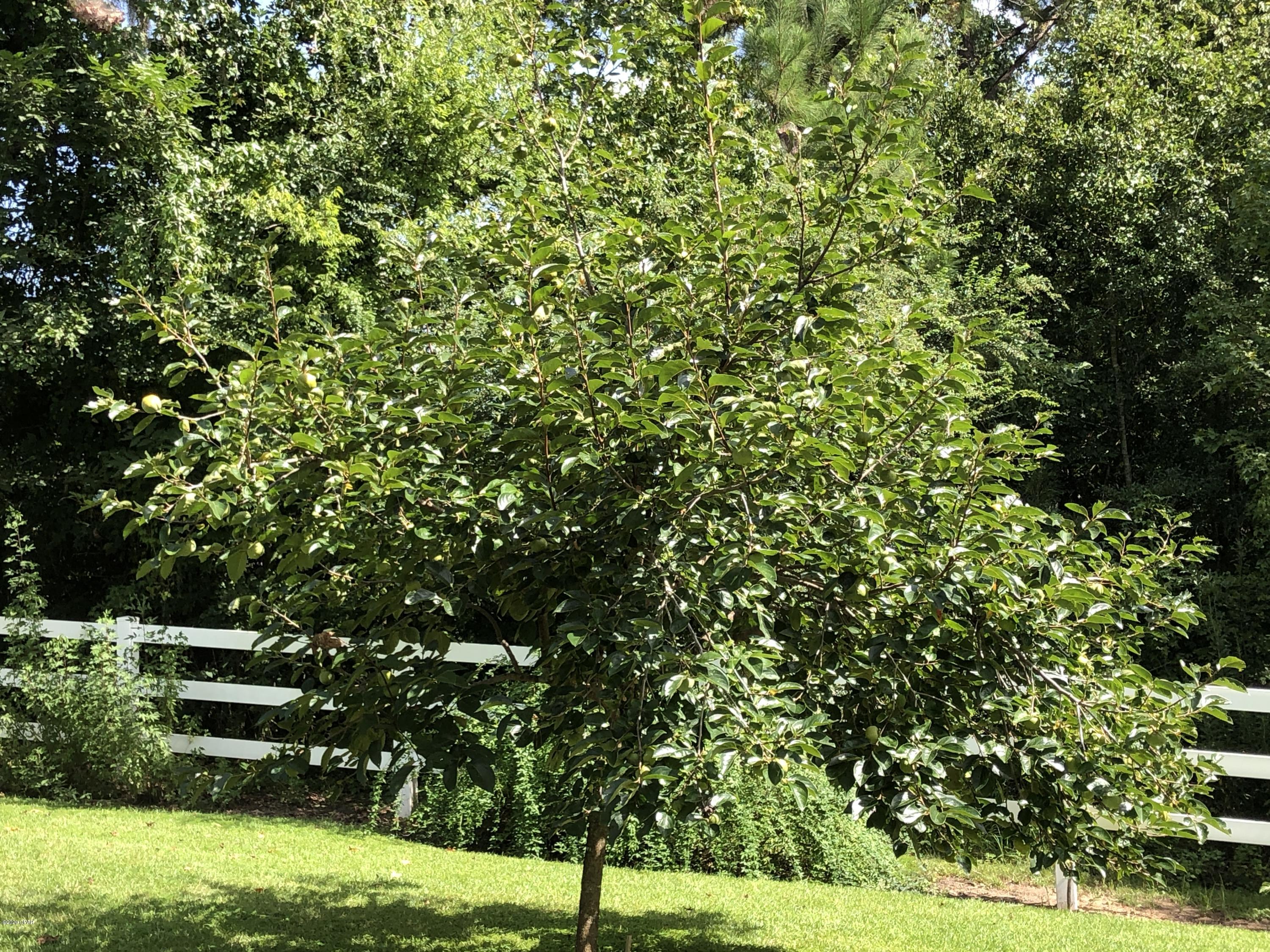 Spring Chase - Residential