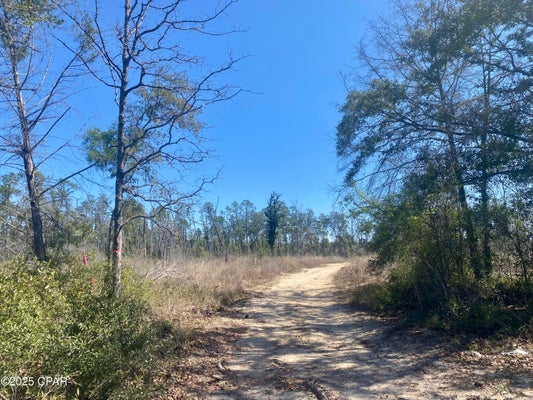 50 ACRES NW SELLERS ROAD, BRISTOL, FL 32321 - Image b3e13bea2a14b88ee4dbb384ba332d7d/249617930