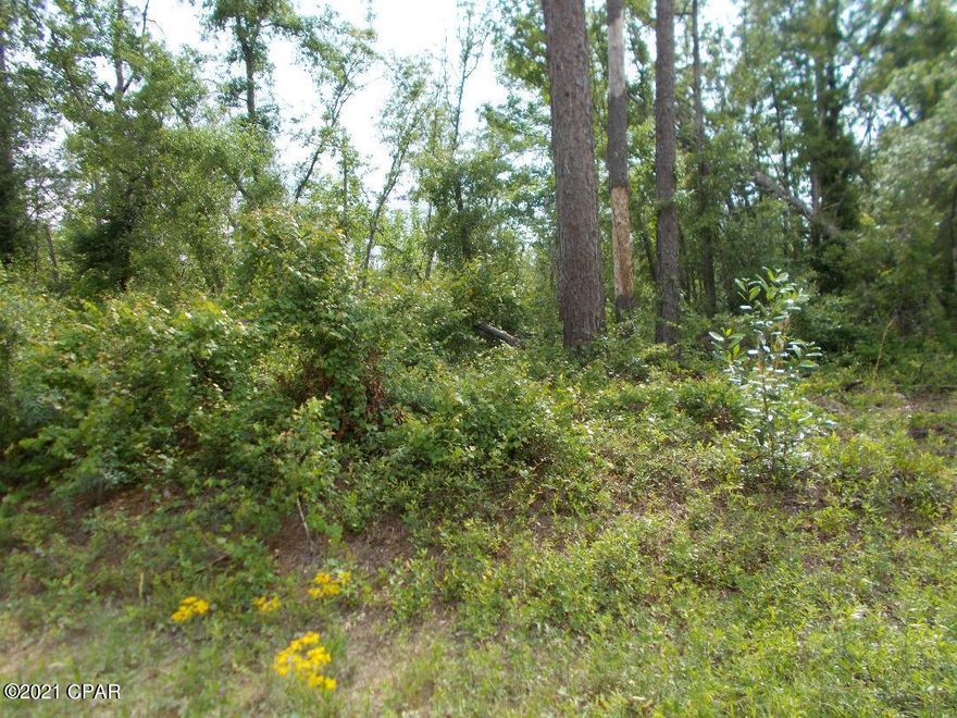 Exceptionally nice large corner lot in lovely Compass Lake Hills.   Location is great for easy access to Panama City on the coast to the south and to Marianna to the north for shopping, etc.  There is a non mandatory annual fee of $150.00 for access to amenities of  Compass Lake Hills.