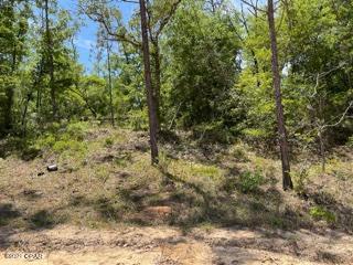 Compass Lake Hills Unit 5 - Land